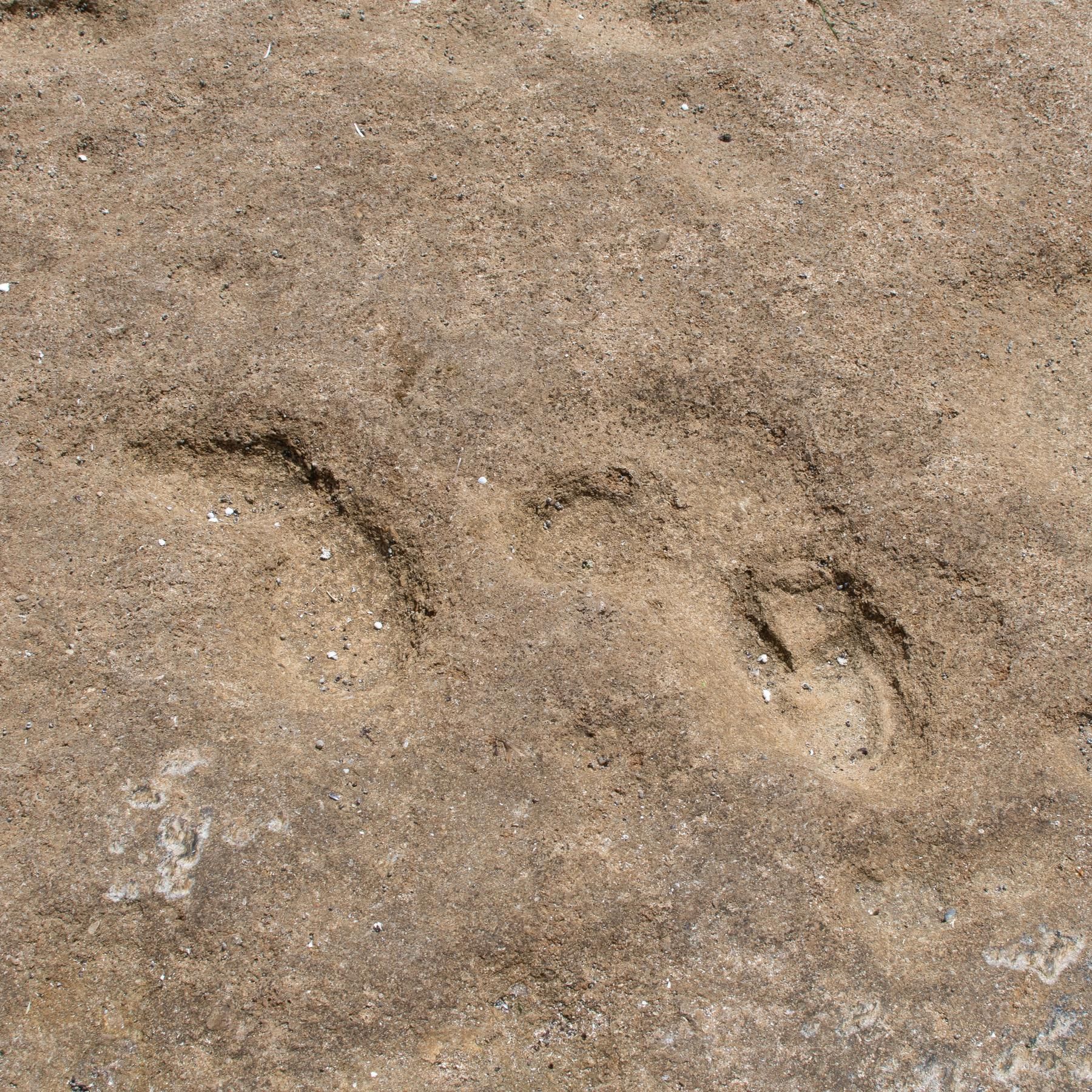 Verräterische Fußspuren | Archäologie-Spezial (2)