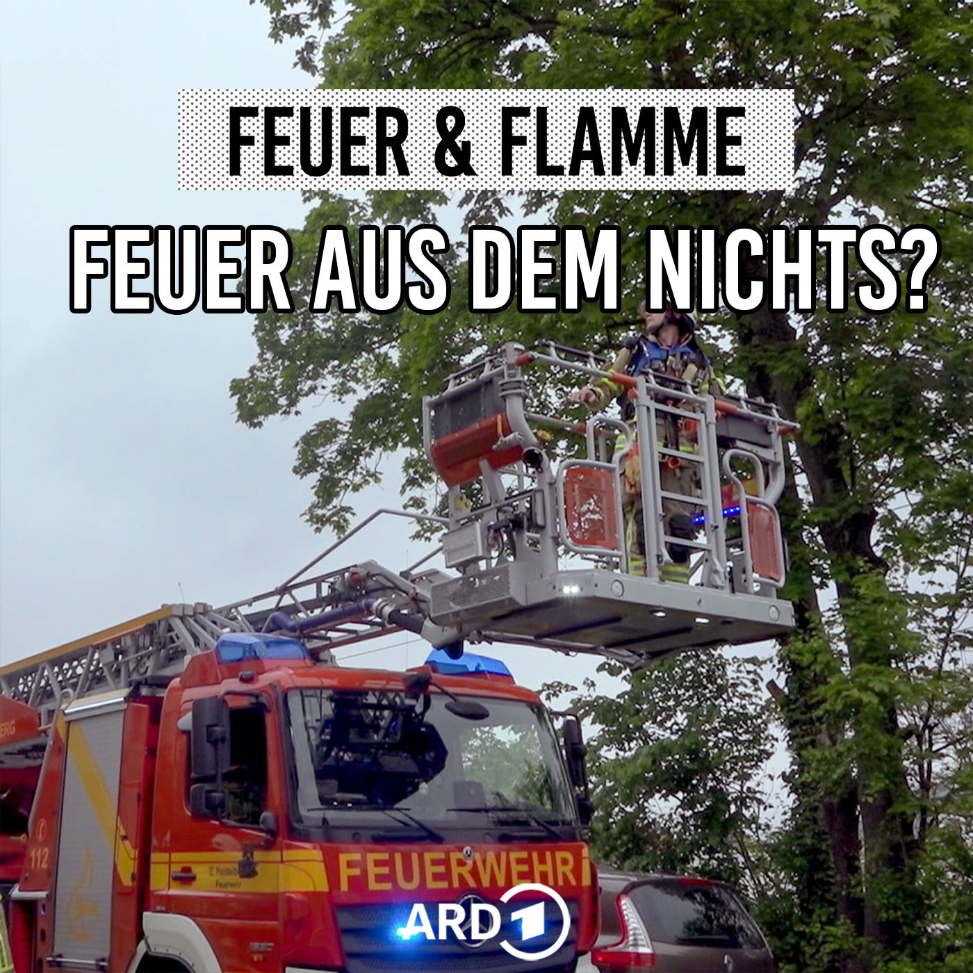 Verrückte Brandursachen