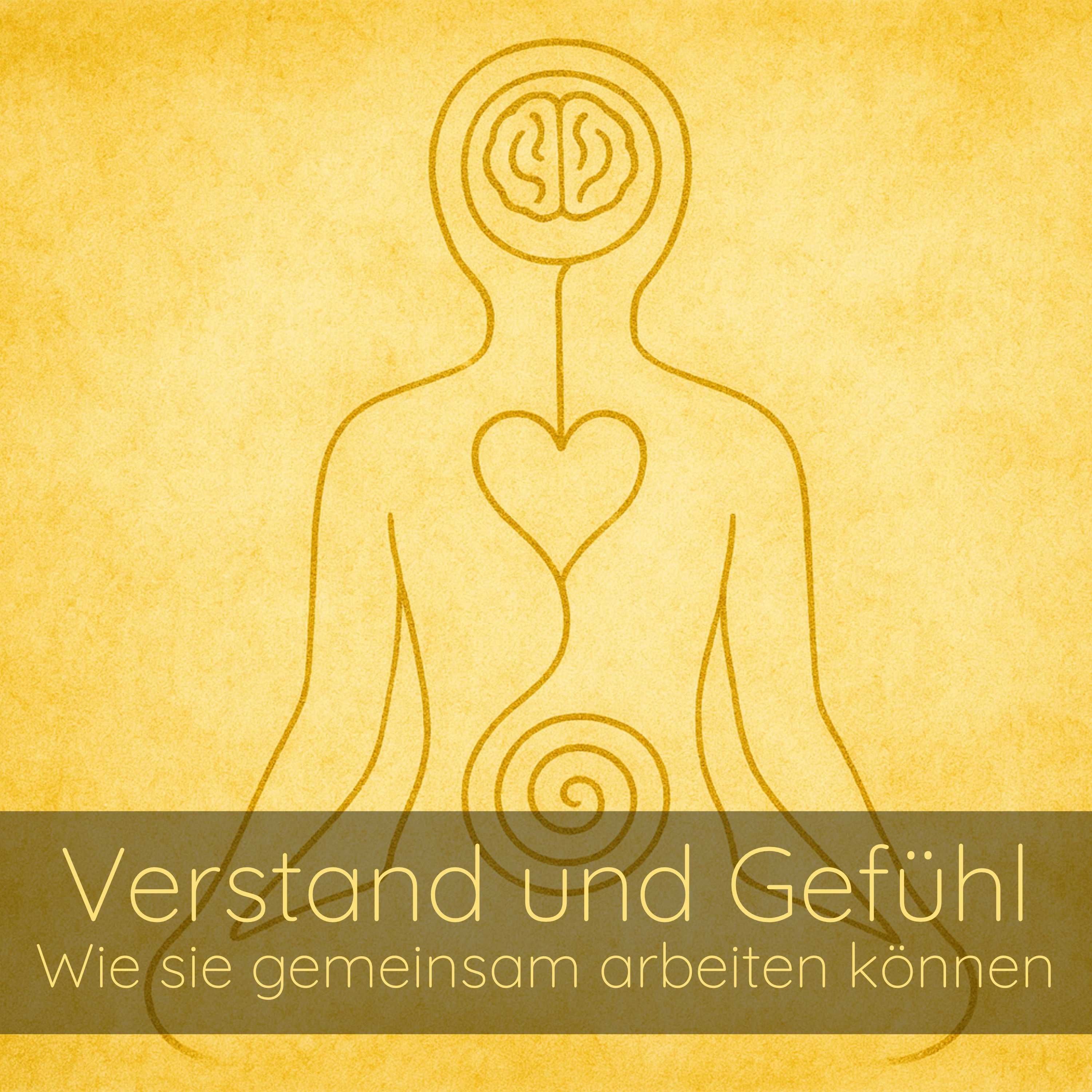 Verstand und Gefühl – Wie sie gemeinsam arbeiten können
