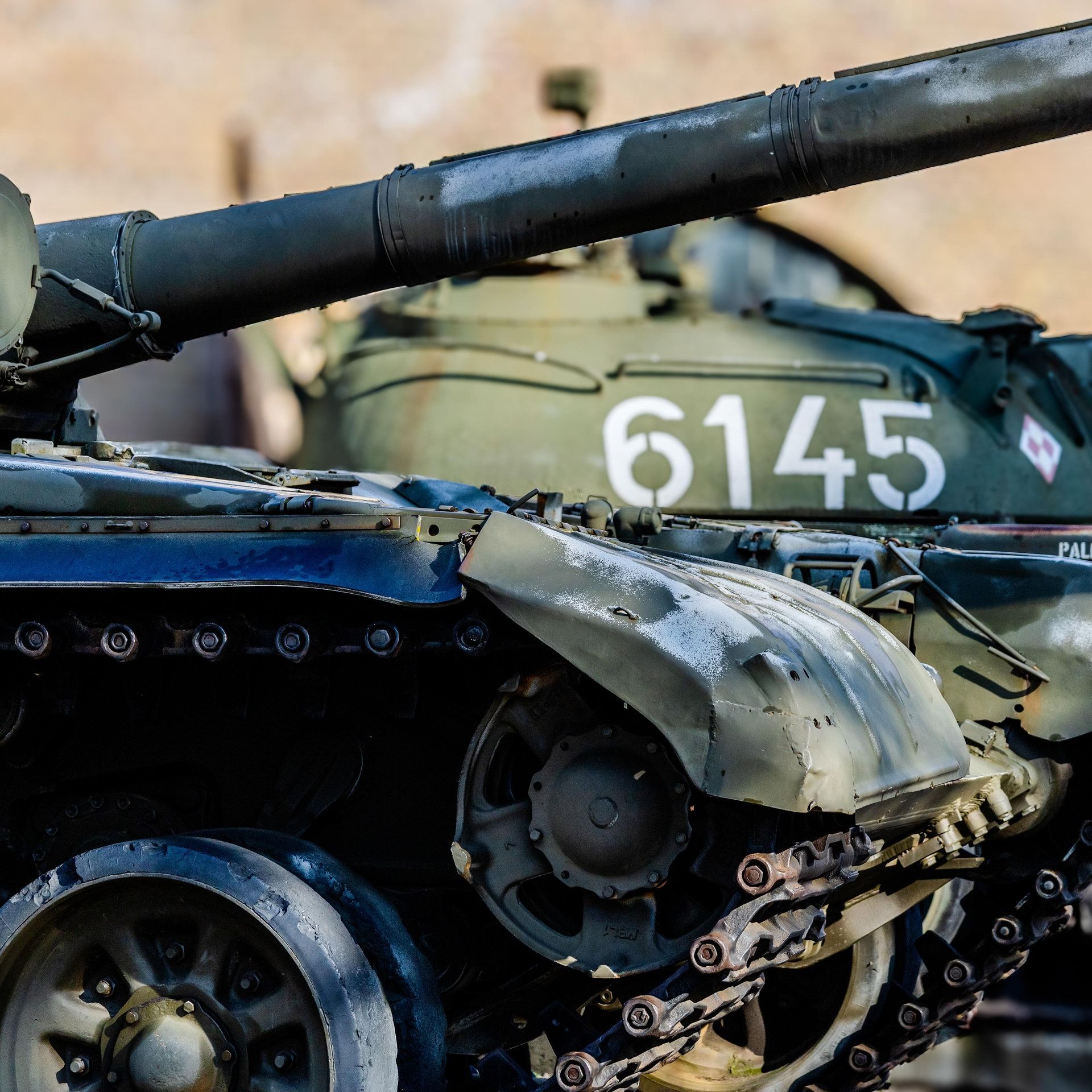 Verteidigungsstrategie mit Umweltnutzen: Wiedervernässung von Mooren in Osteuropa