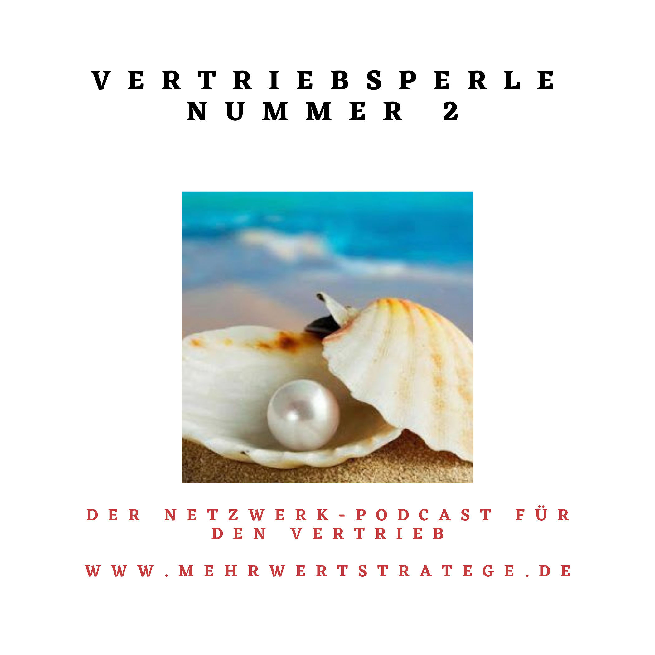 Vertriebsperle 2 - Von den Erfolgen anderer lernen