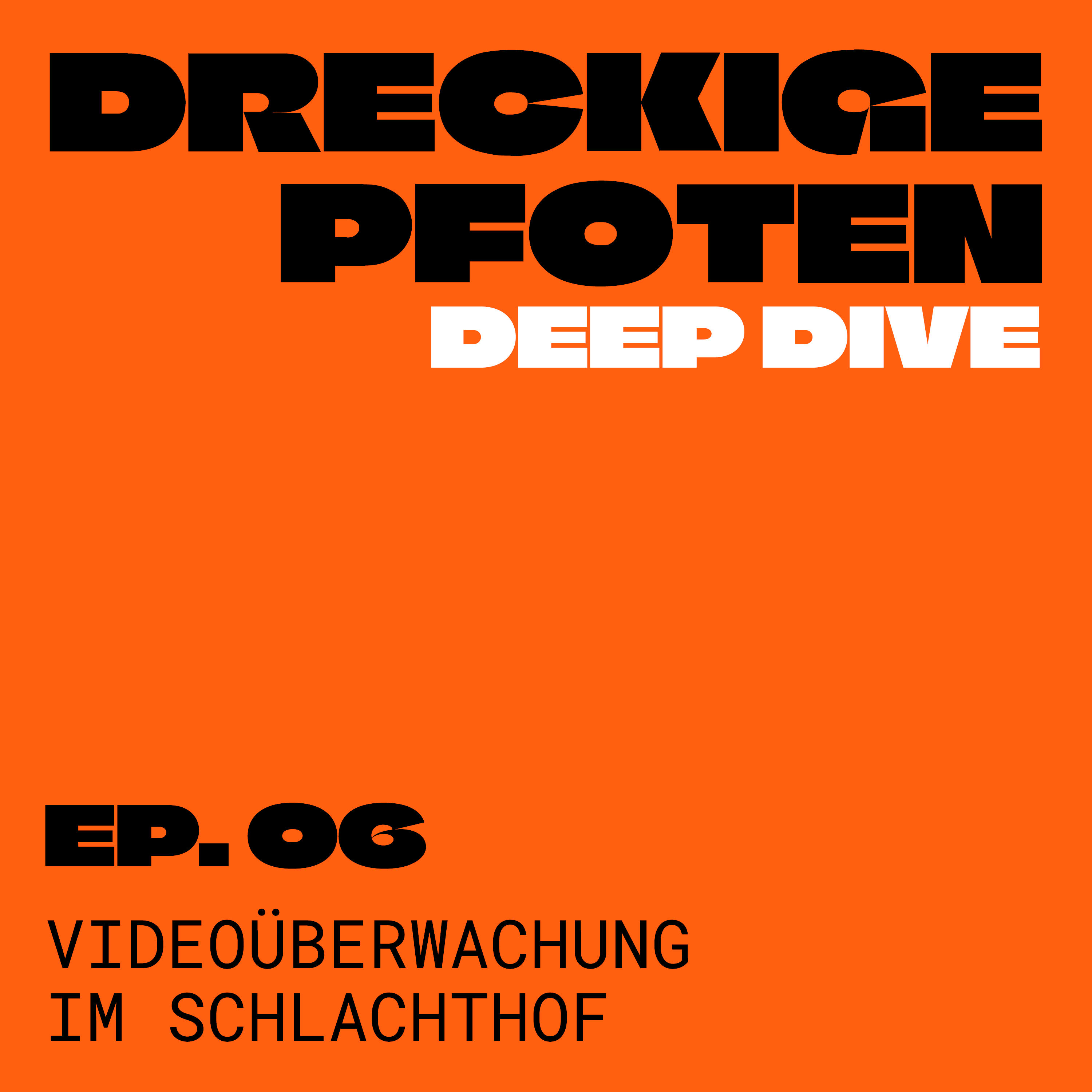 Videoüberwachung im Schlachthof? - Deep Dive