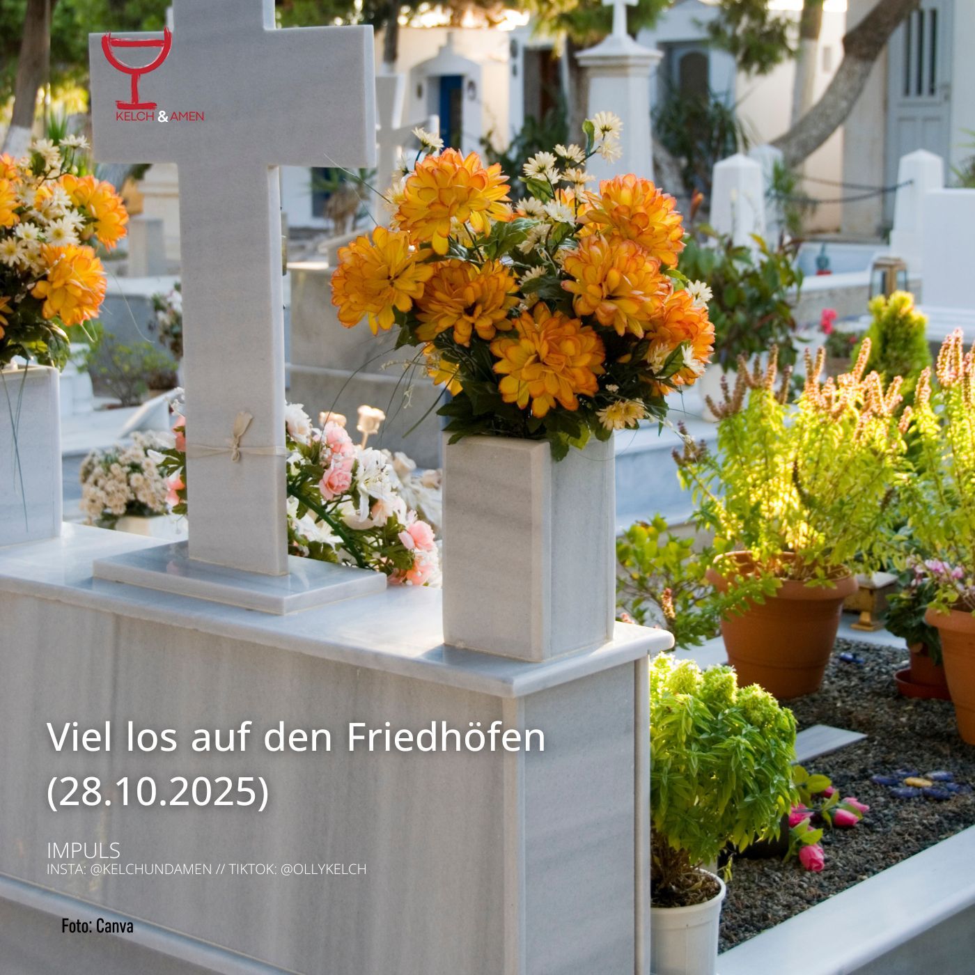 Viel los auf dem Friedhof (29.10.2025)