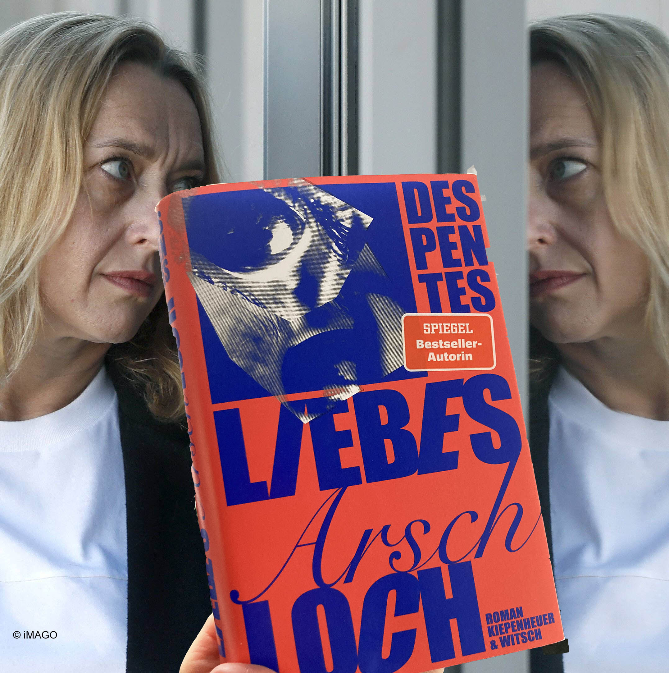 Virginie Despentes: Liebes Arschloch
