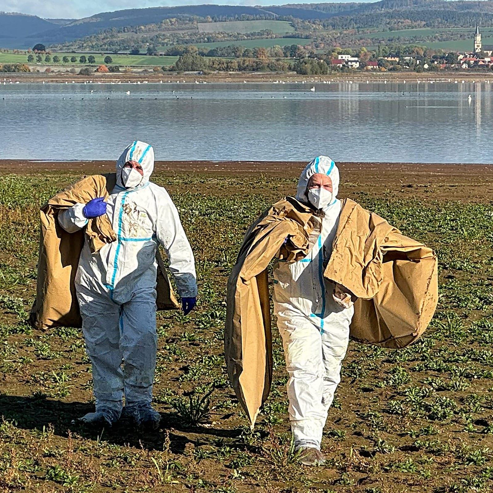 Vogelgrippe breitet sich aus