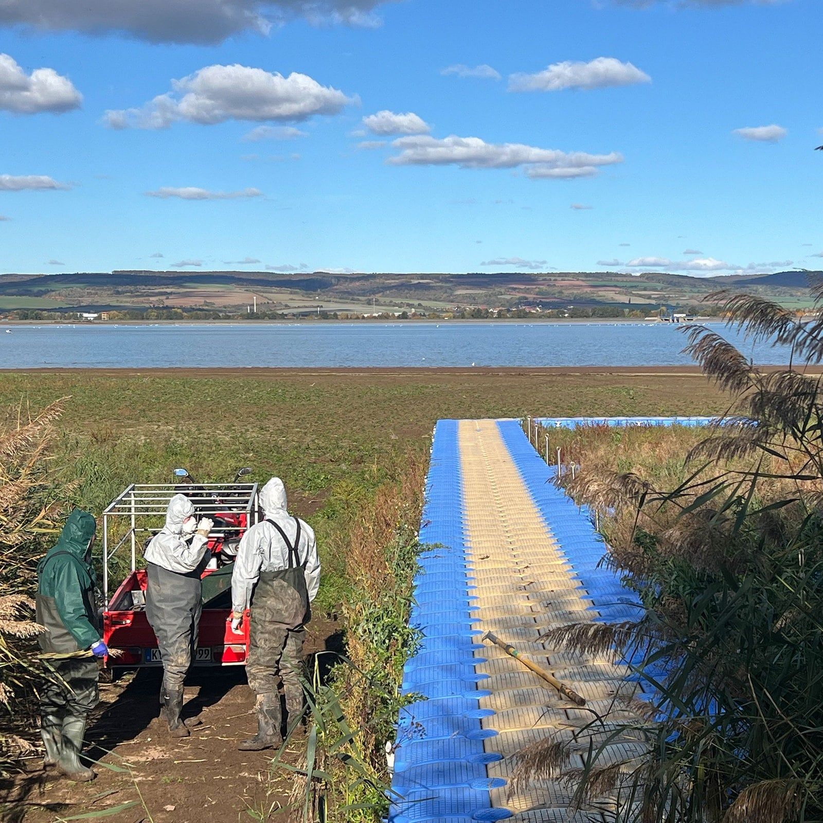 Vogelgrippe: Kyffhäuserkreis im Kampf gegen die Tierseuche