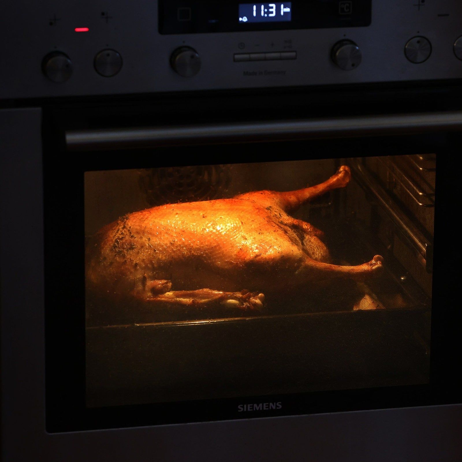 Vogelgrippe: Wie sicher ist die Weihnachtsgans?