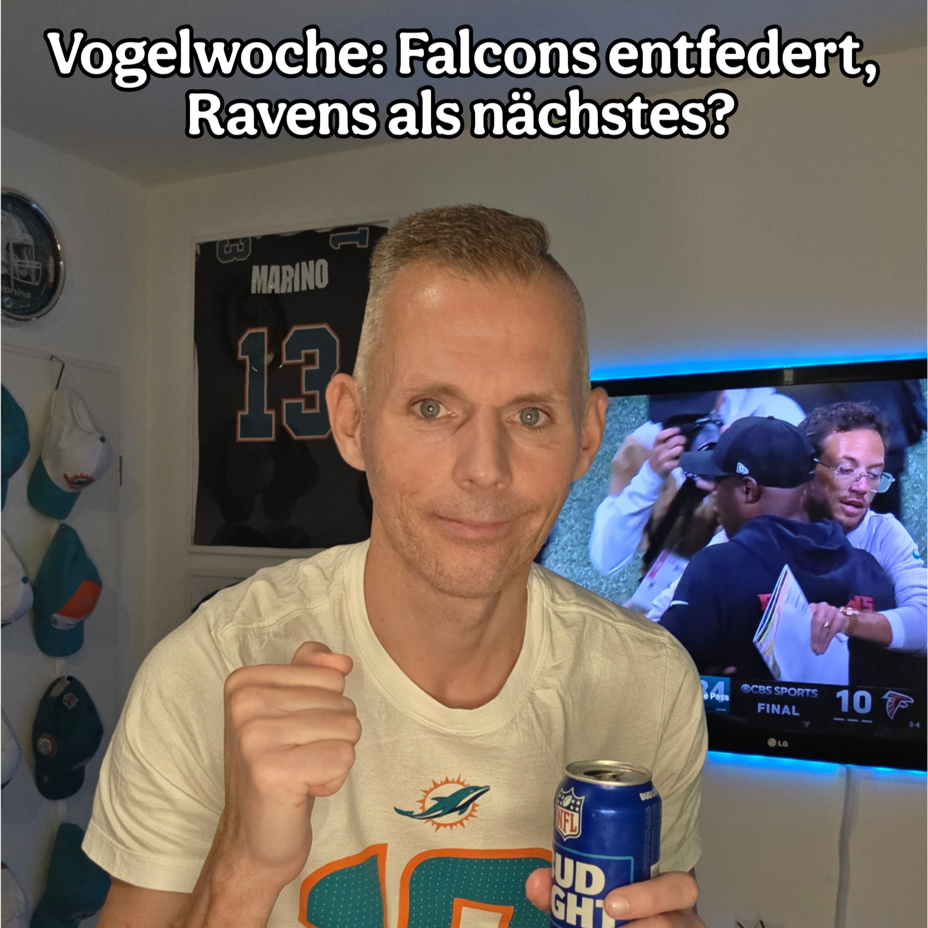 Vogelwoche: Falcons entfedert, Ravens als nächstes?