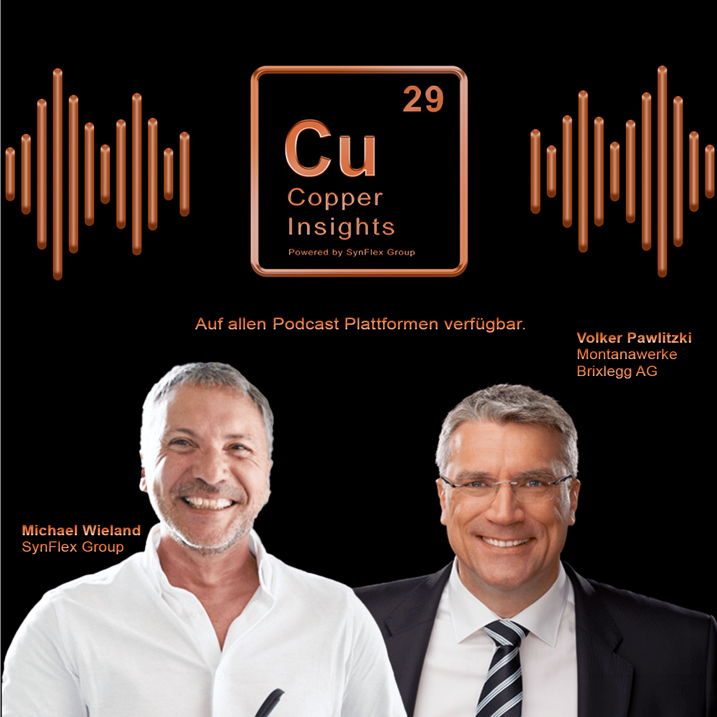 Volker Pawlitzki - Montanwerke Brixlegg AG