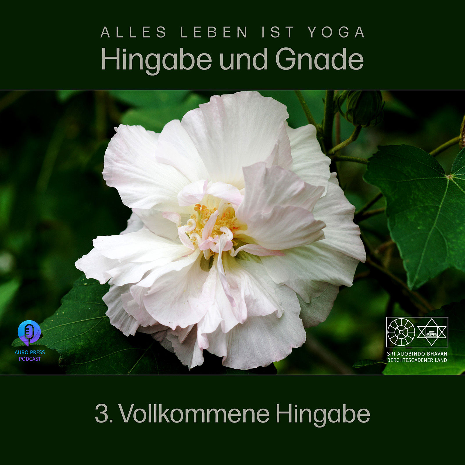 Vollkommene Hingabe