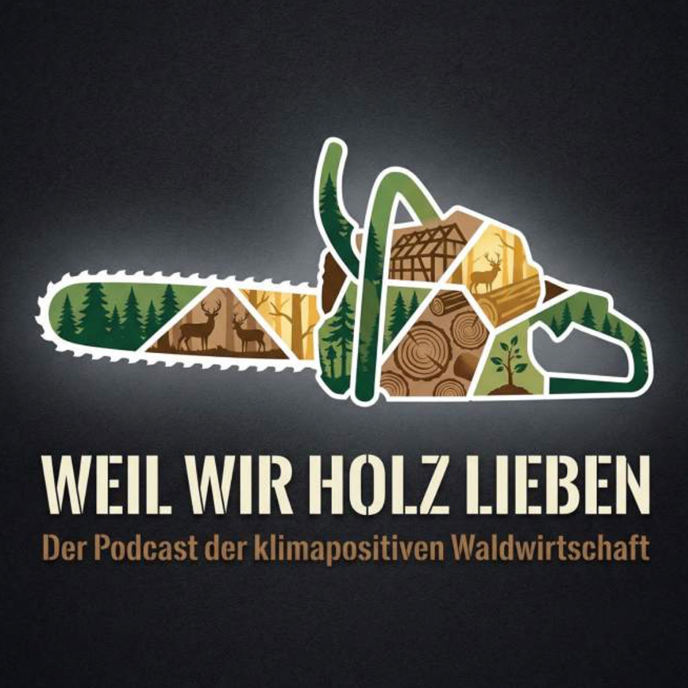 Vom Baum zum Brett – Ein Blick hinter die Kulissen des Sägewerks Keller