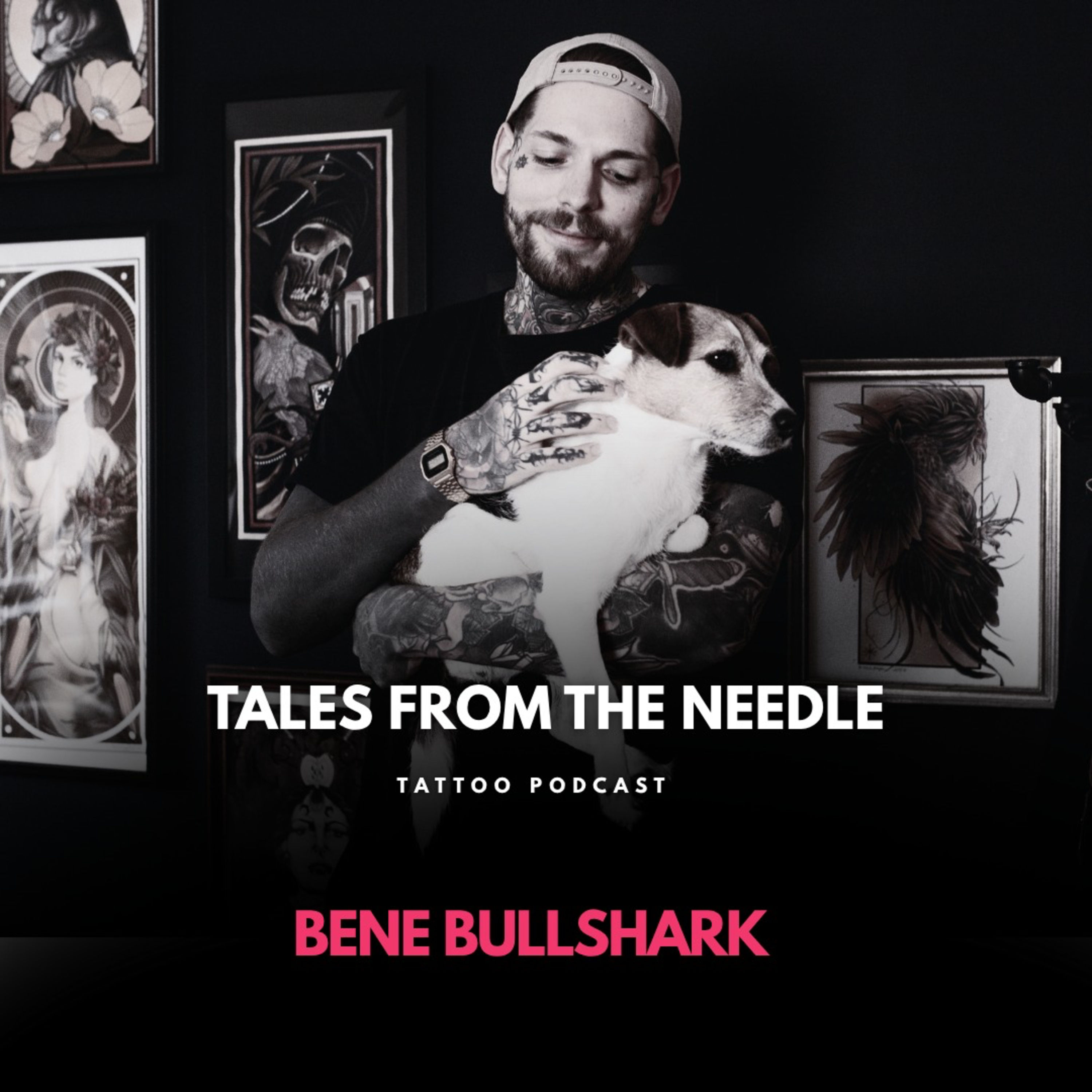 Vom Suchen, Scheitern und Weitermachen - Bene Bullshark