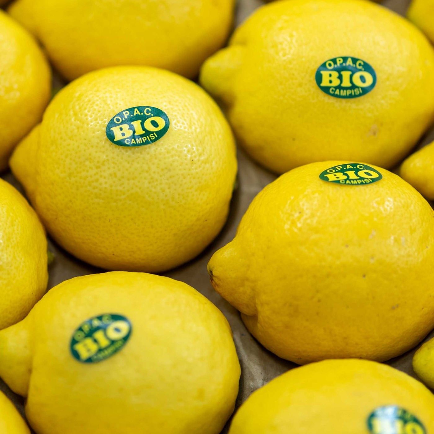 Von Bio-Süße bis Leberkäse: Neues von der Biofach