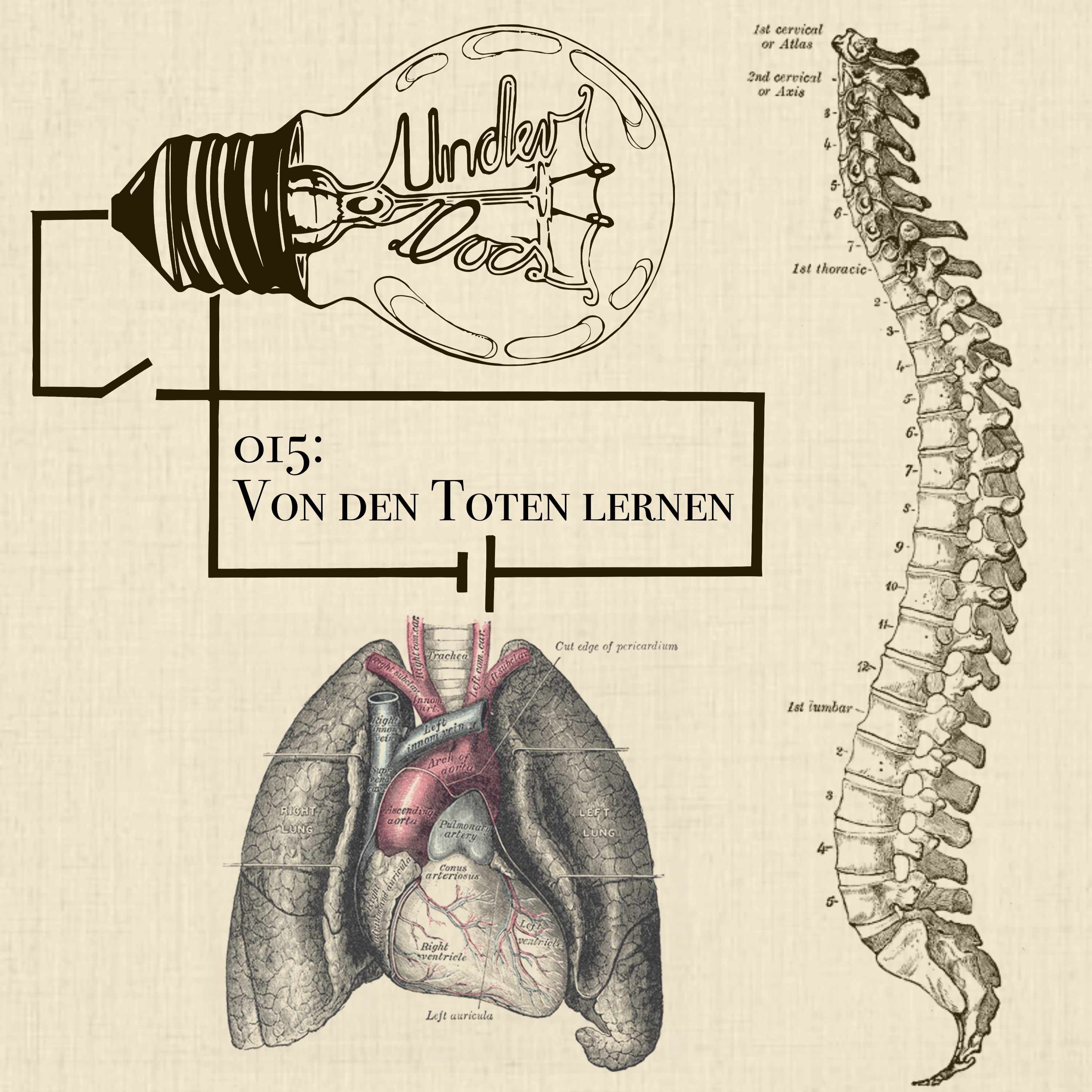 Von den Toten lernen