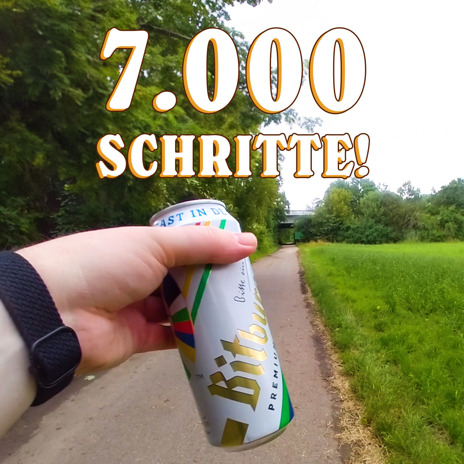 Von Festivals und dekadenten Schnitzelbrötchen | Schritt für Schritt: 7K