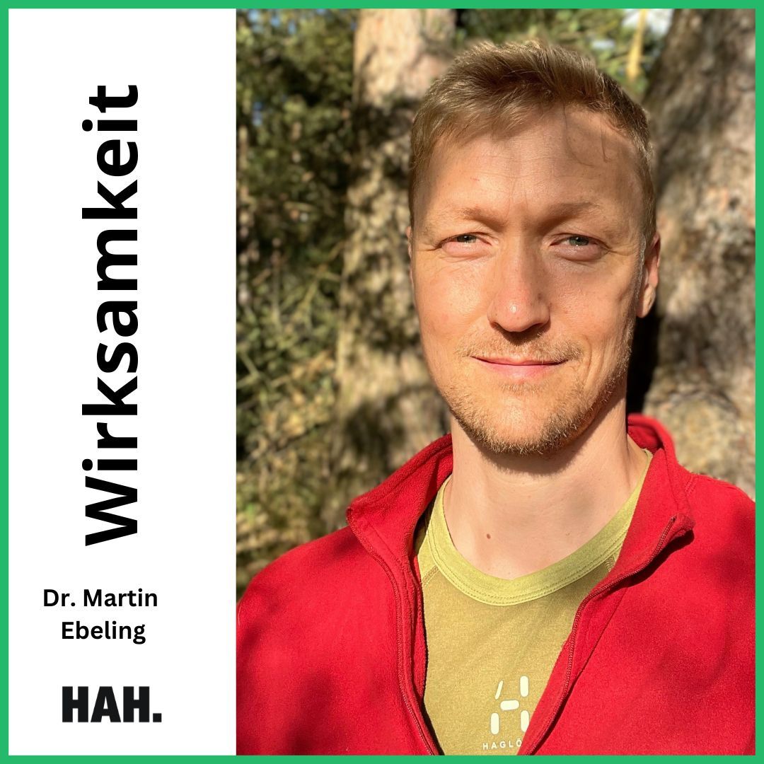 Von innerer Arbeit zu äußerer Transformation – mit Dr. Martin Ebeling (aka Ocean) | HAH #151