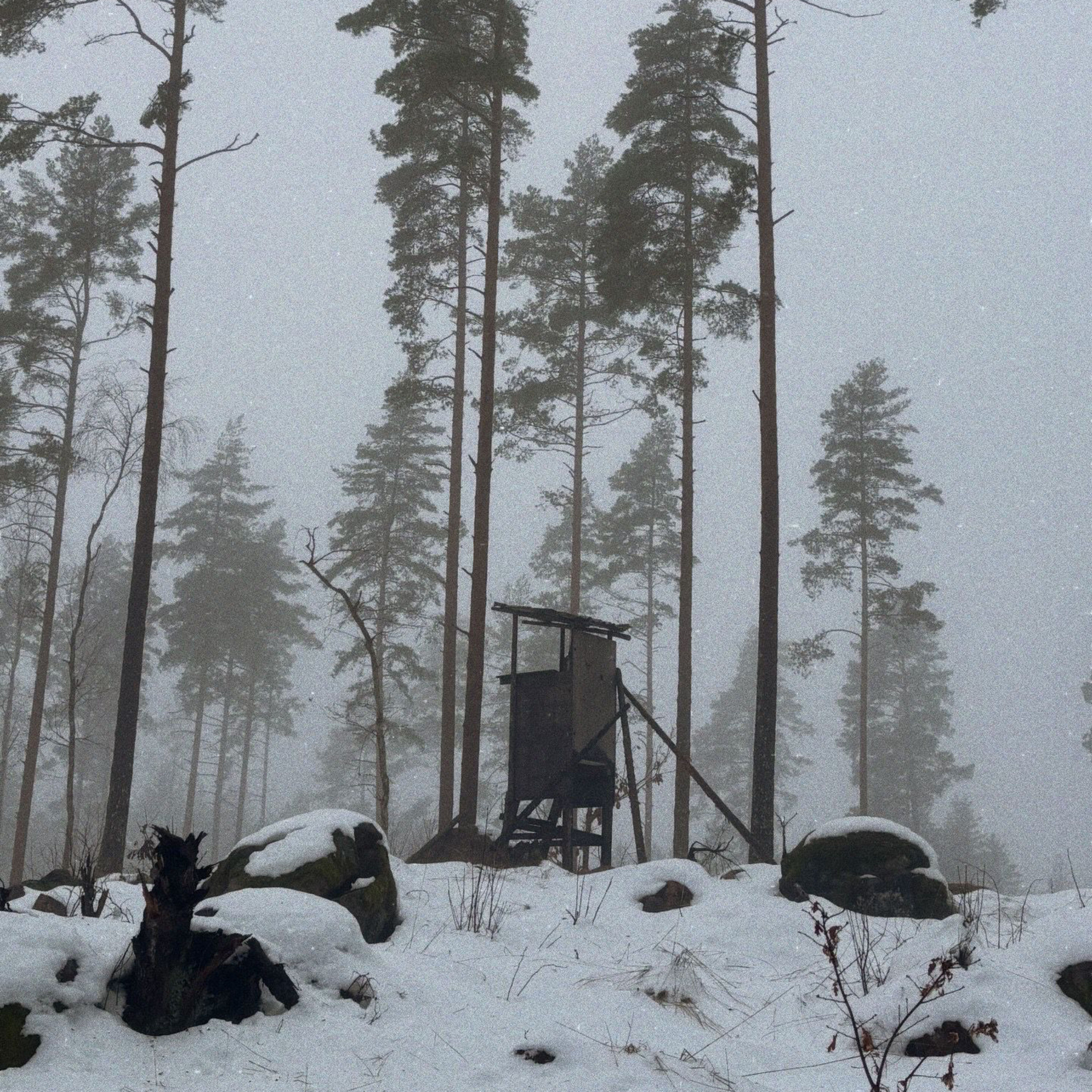 Von Klötzen und Pinseln #11 - über Schweden und jagdliche Werte