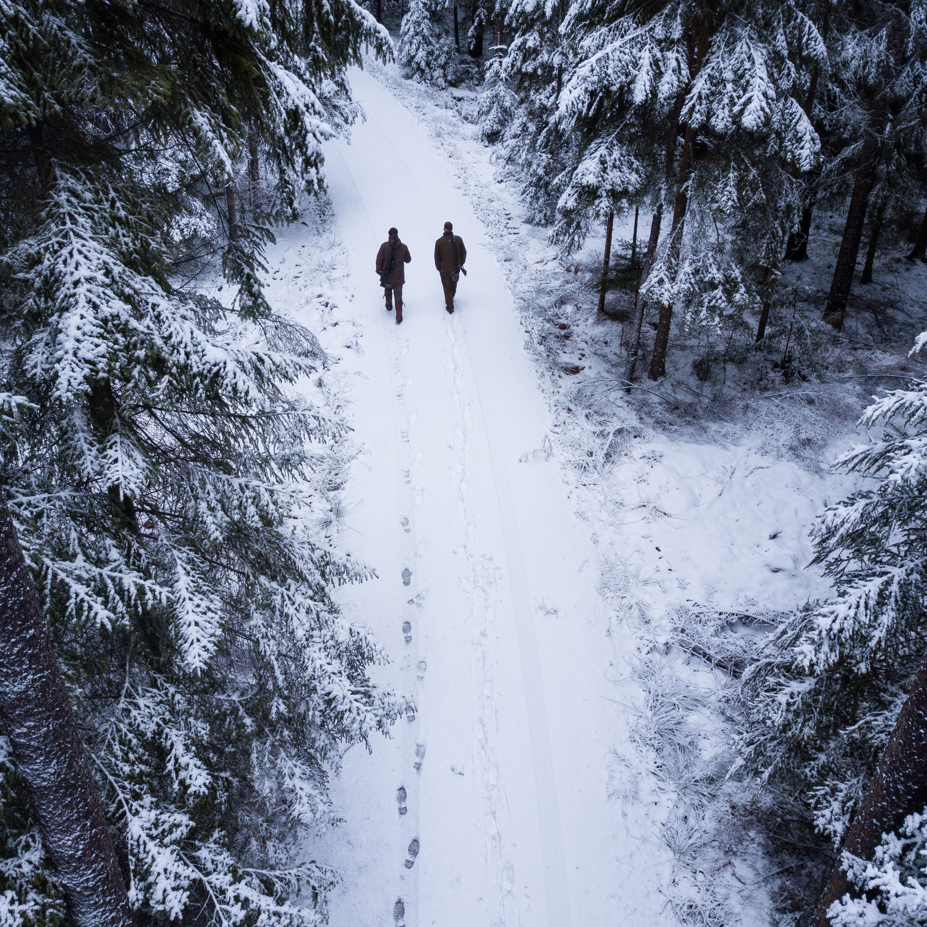 Von Klötzen und Pinseln #3 Der Jagdtalk - Wölfe, ländliche Armut und Schwarzwälder Schneetreiben