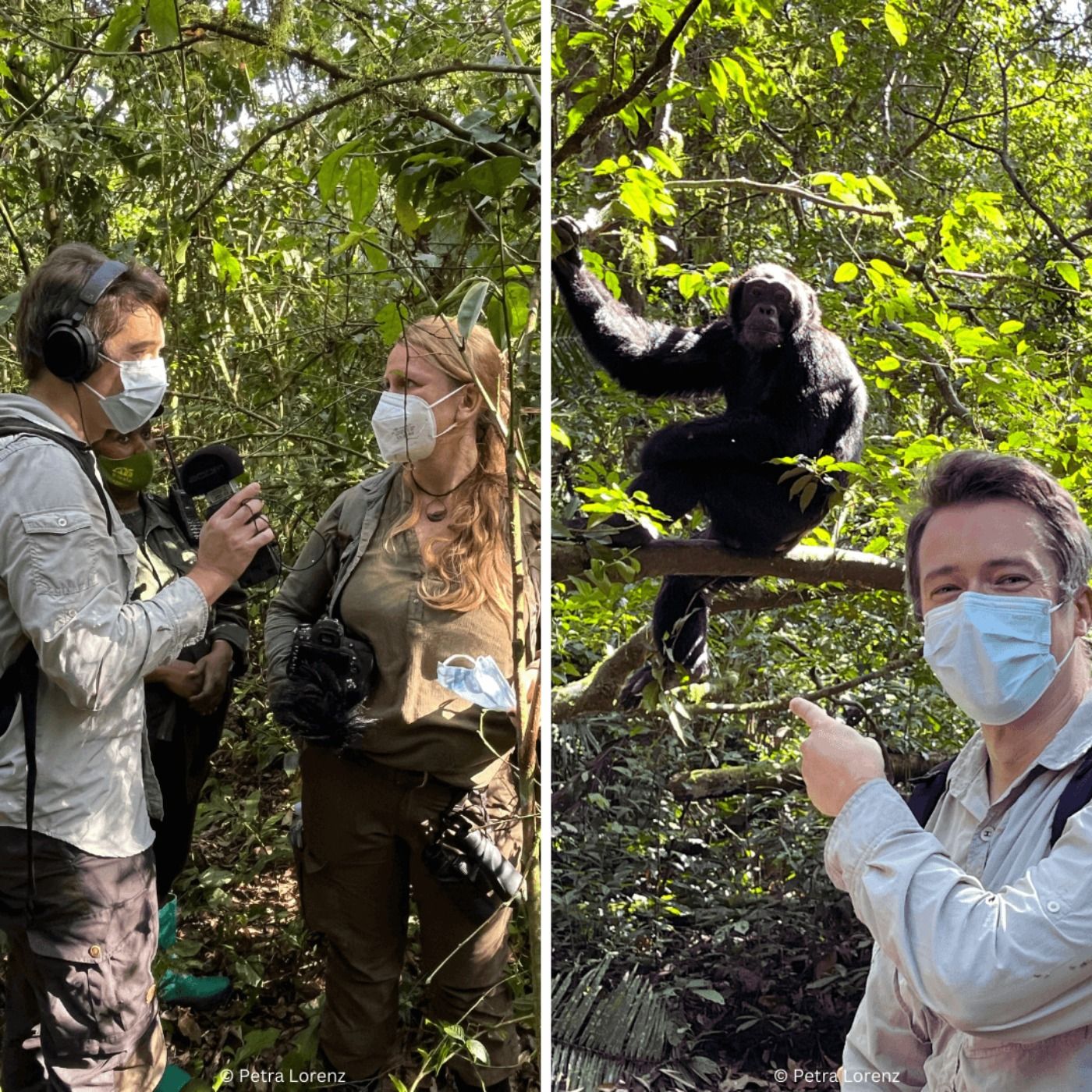 Von Schuhschnäbeln und Schimpansen (2/2) – unterwegs in Uganda mit Lydia Möcklinghoff und Erik Lorenz | Reportage | WW427