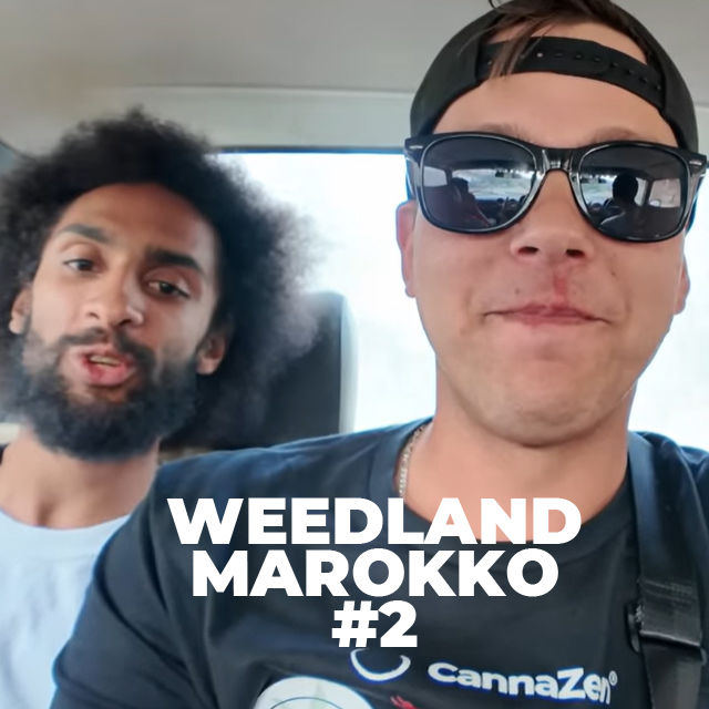 Von Tanger ins Rifgebirge | Chefchaouen | Ankunft in Ketama | Erste Felder | Weedland Marokko #2