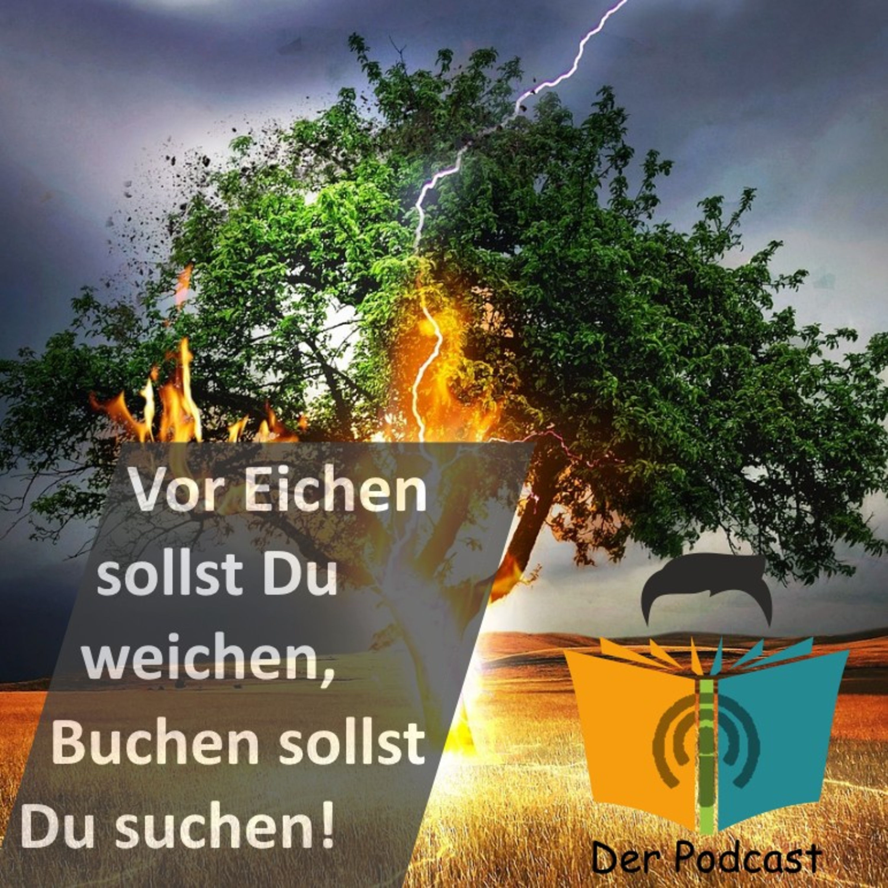 "Vor Eichen sollst Du weichen, Buchen sollst Du suchen!" - IstDasFakt?!