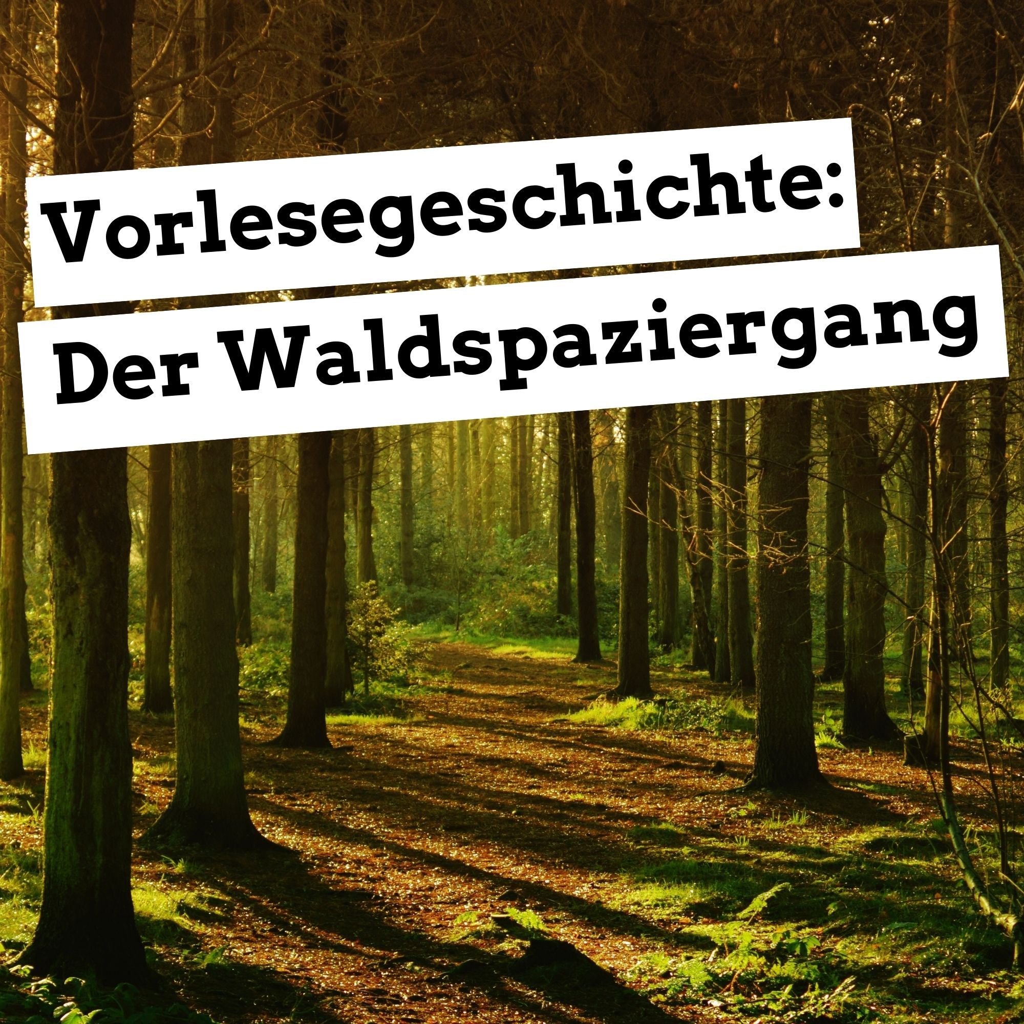 Vorlesegeschichte: Der Waldspaziergang