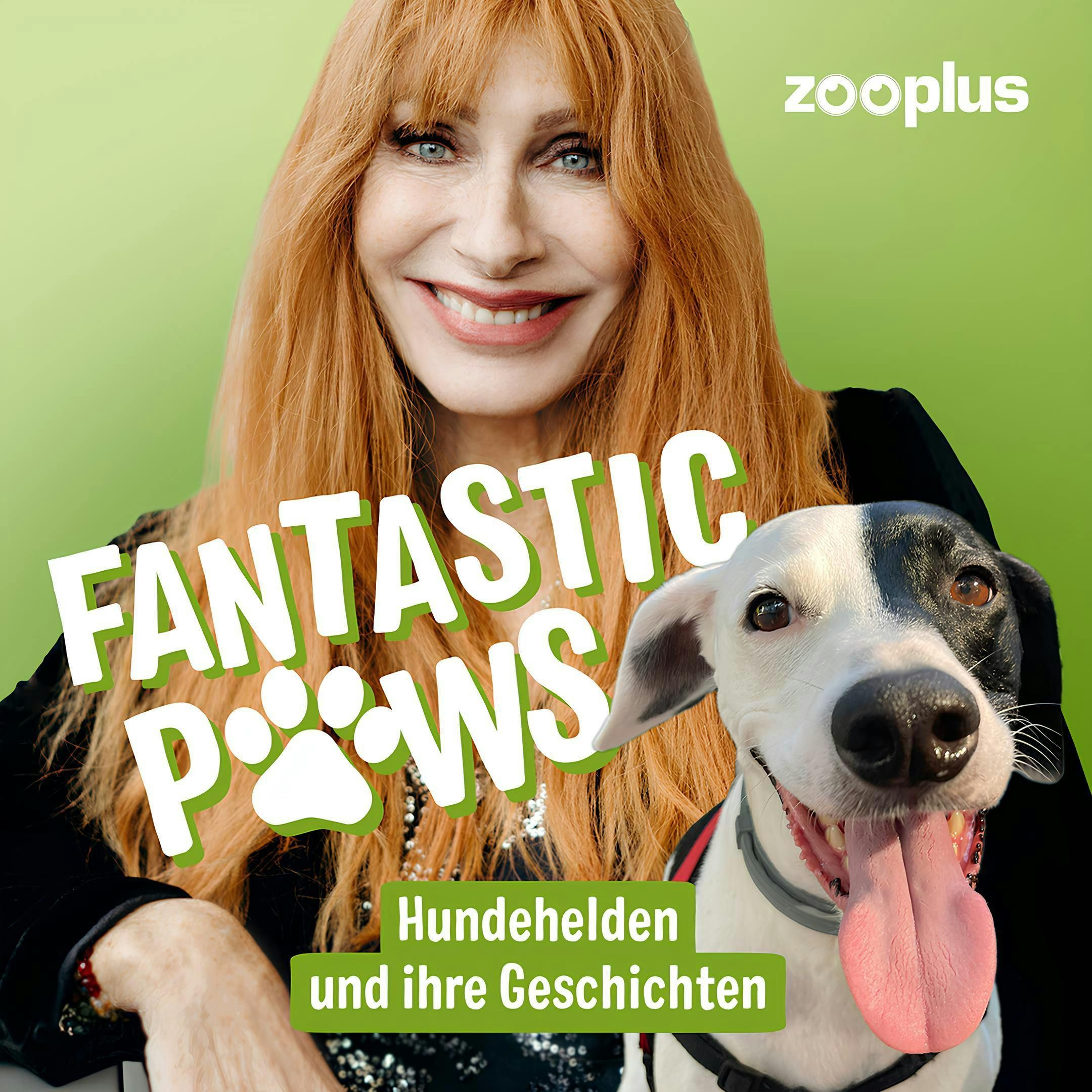 Vorurteile gegen Listenhunde