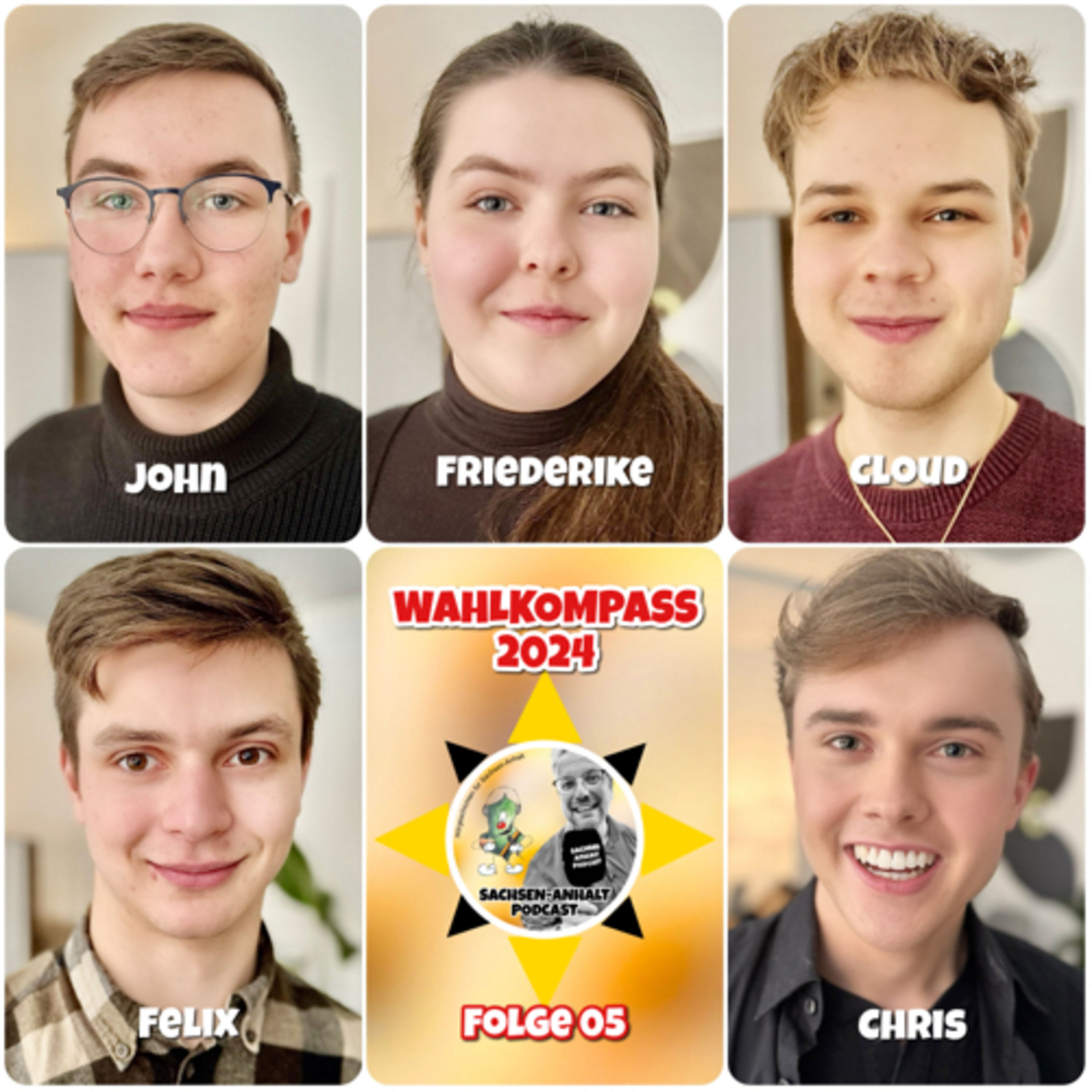 Wahl Sachsen-Anhalt 2024: Gesundheit und Wohlbefinden