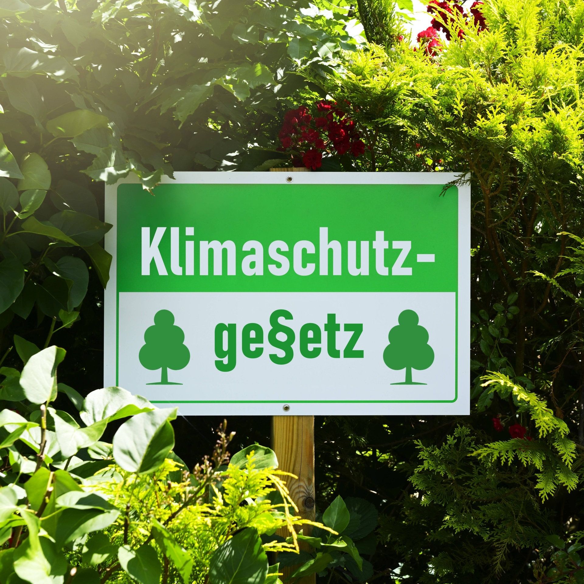 Wahlprogramm-Check zur Landtagswahl in Rheinland-Pfalz: Wer will was bei Klima und Umwelt?