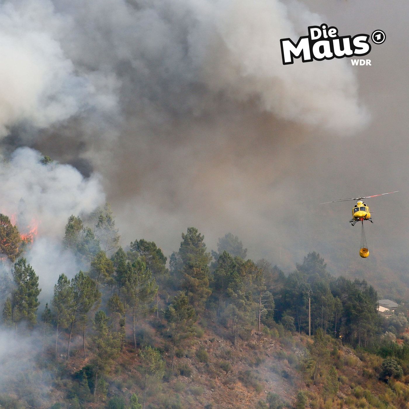 Waldbrände in Spanien - deutsche Spezialisten helfen löschen