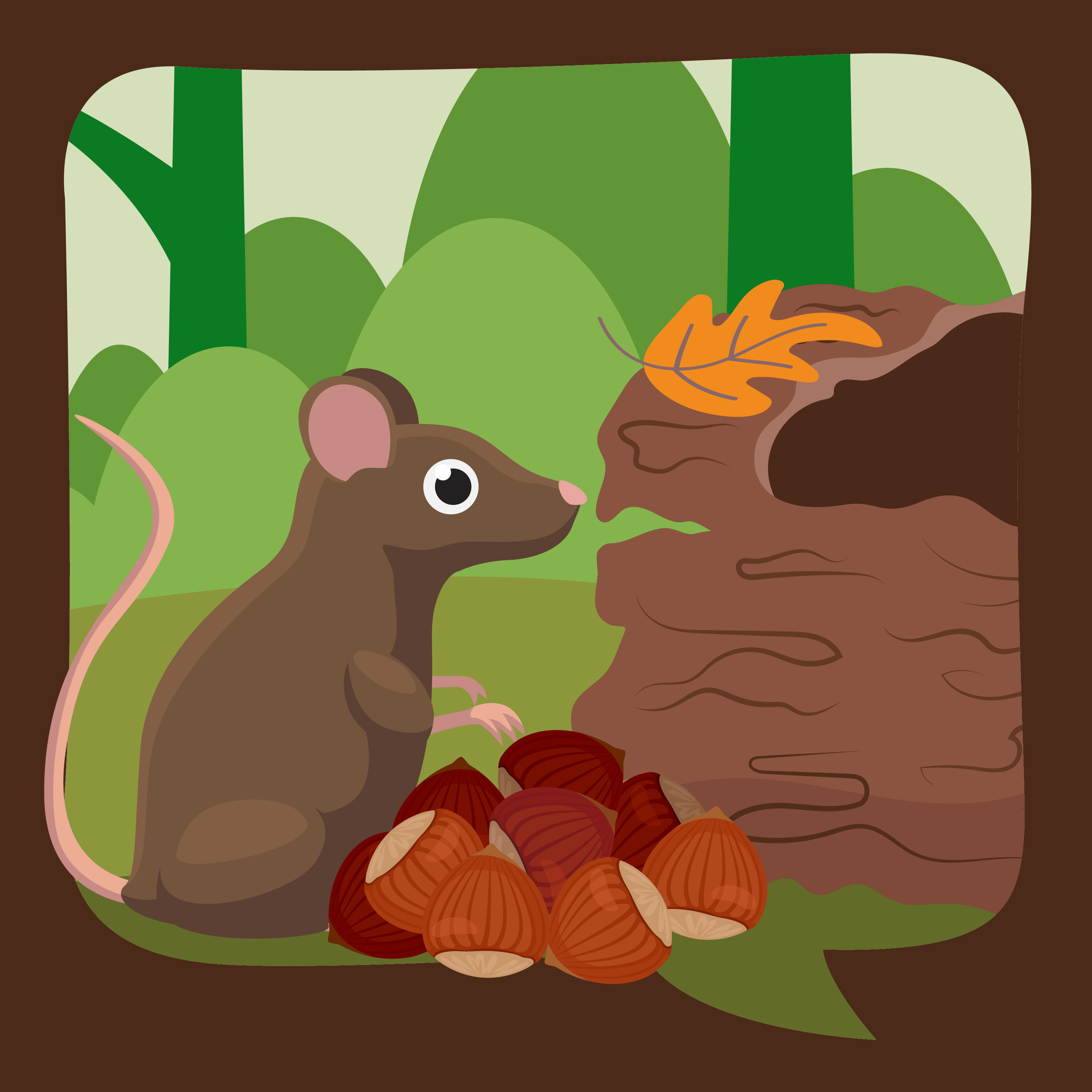 Waldmaus kann nicht schlafen | europäisches Märchen | erzählt von Gudrun Rathke | ab 3