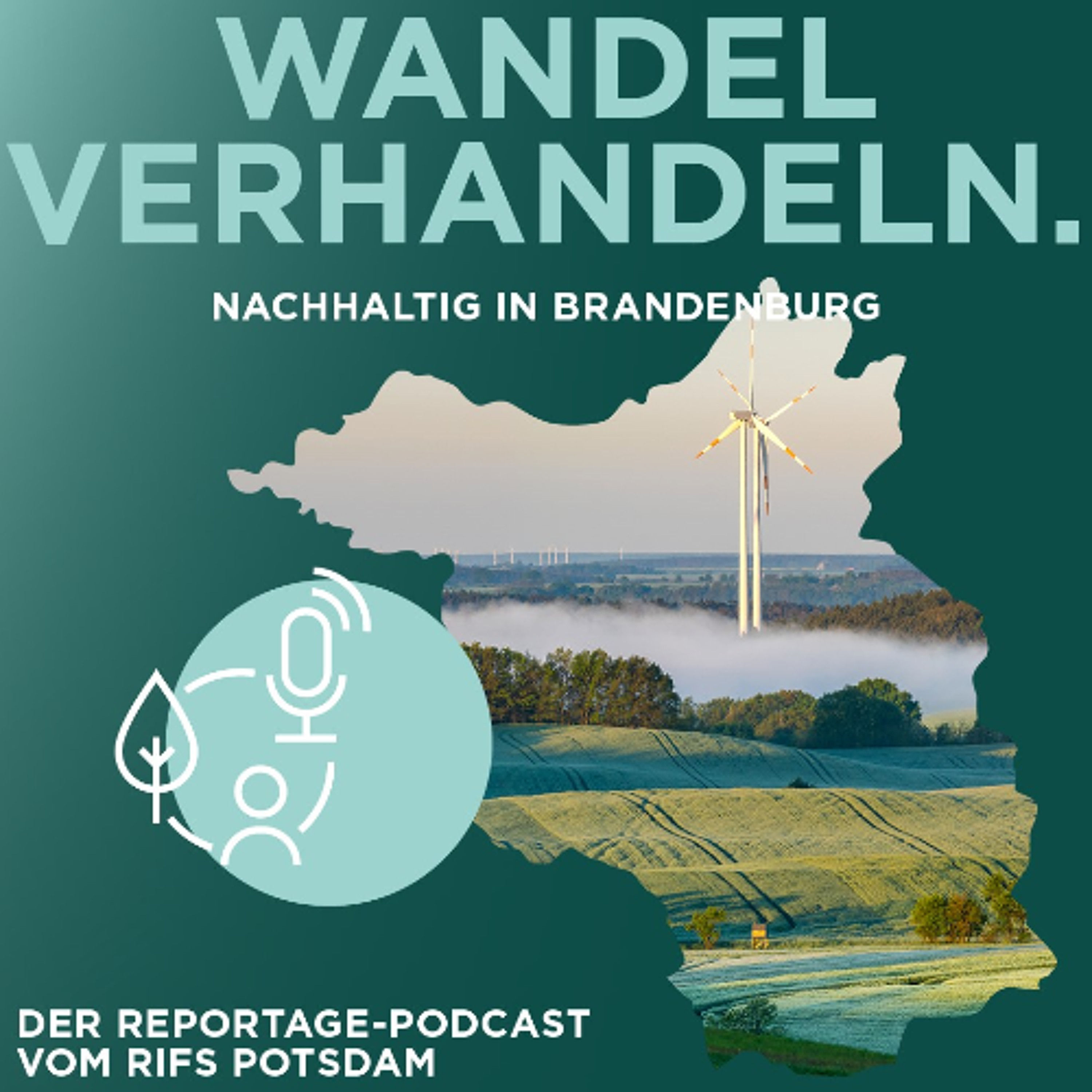 Wandel verhandeln #3: Sonderabgabe Windenergie