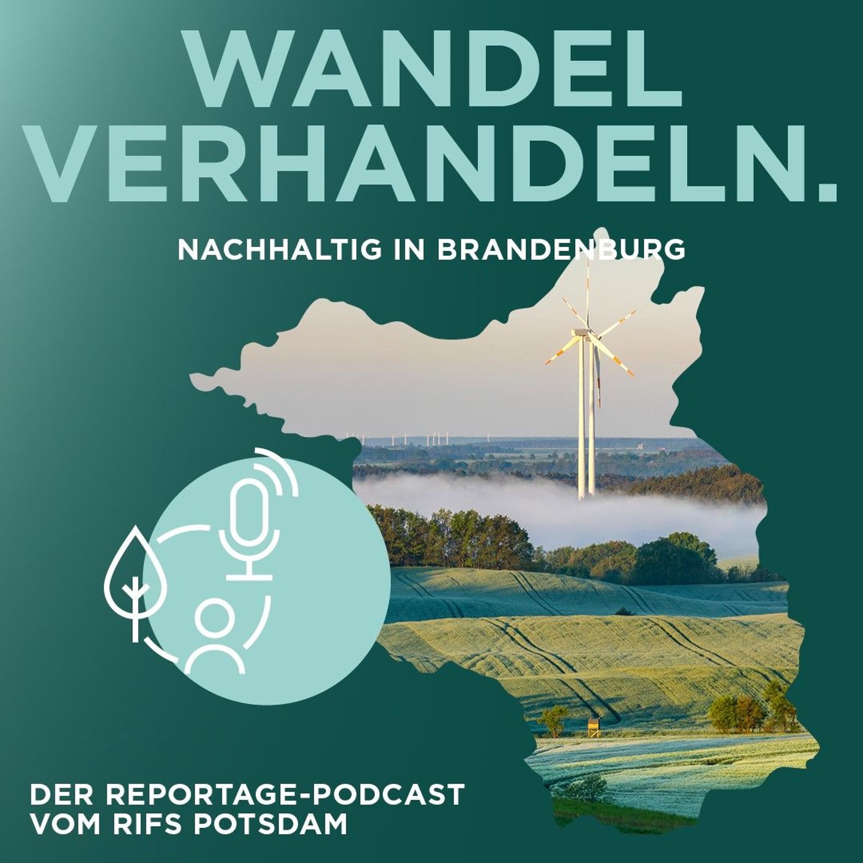 Wandel verhandeln #7: Moore – Klimaschützer oder Emissionsquelle?
