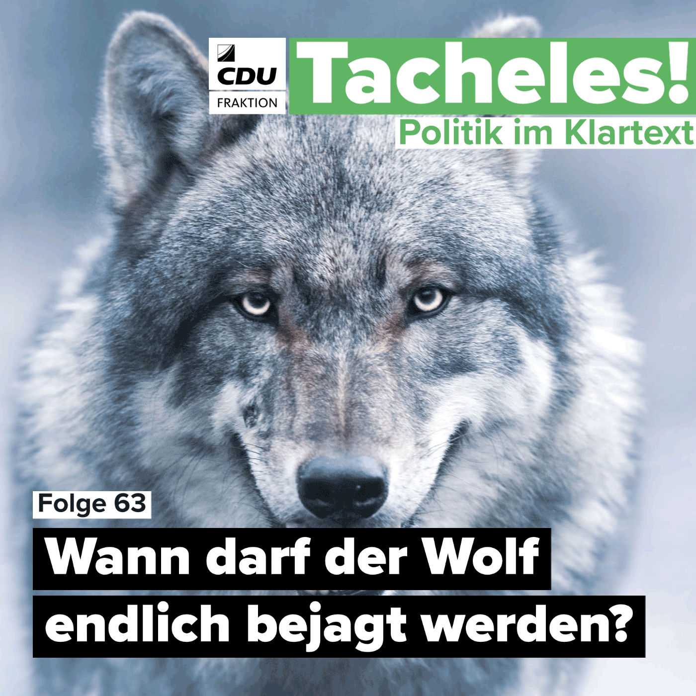 Wann darf der Wolf endlich bejagt werden?