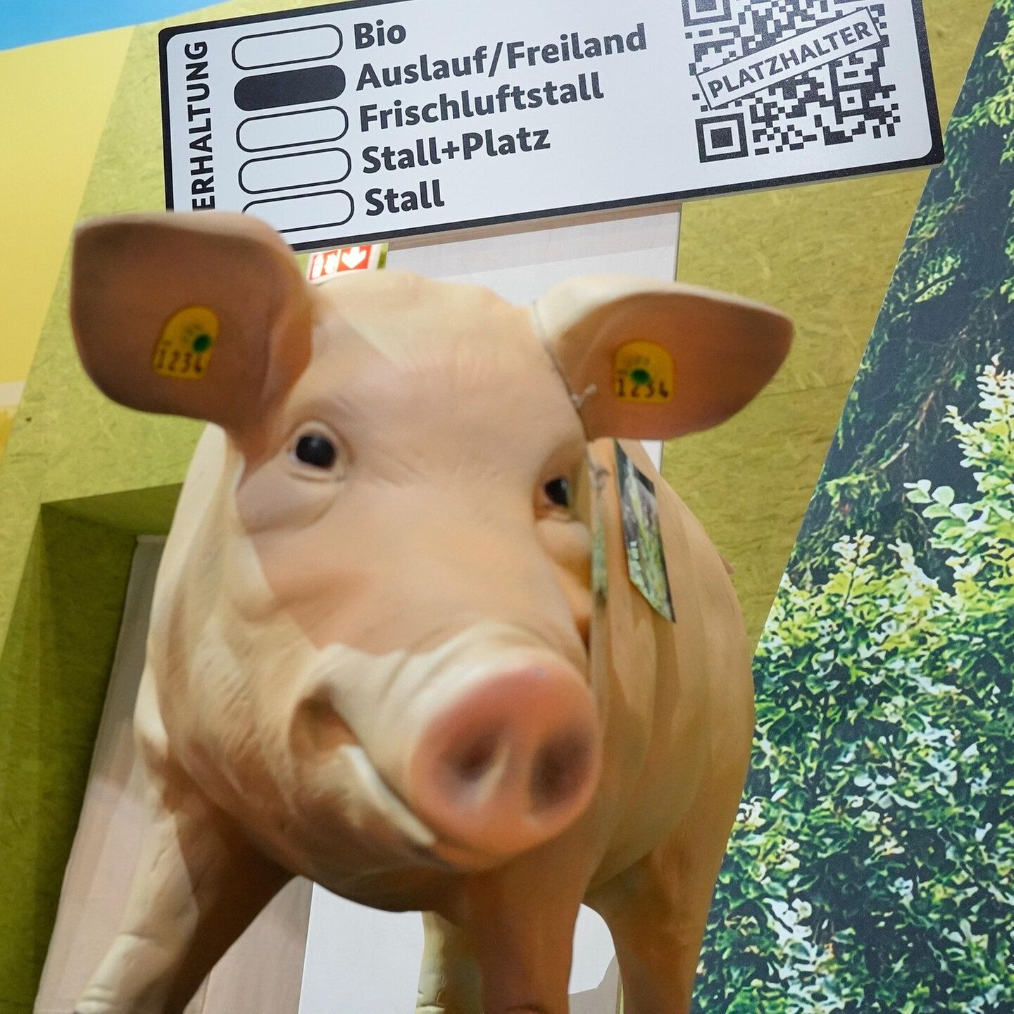 Wann kommt das neue Tierwohl-Label?