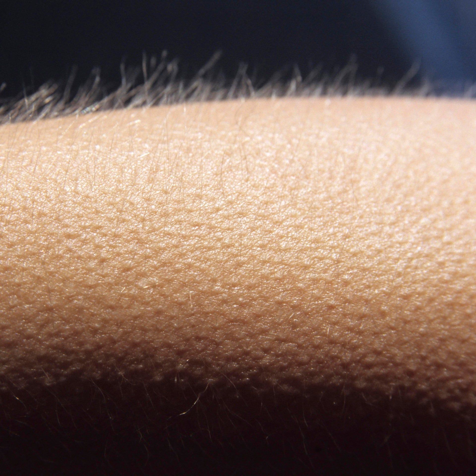 Wann und warum löst Musik Gänsehaut aus?