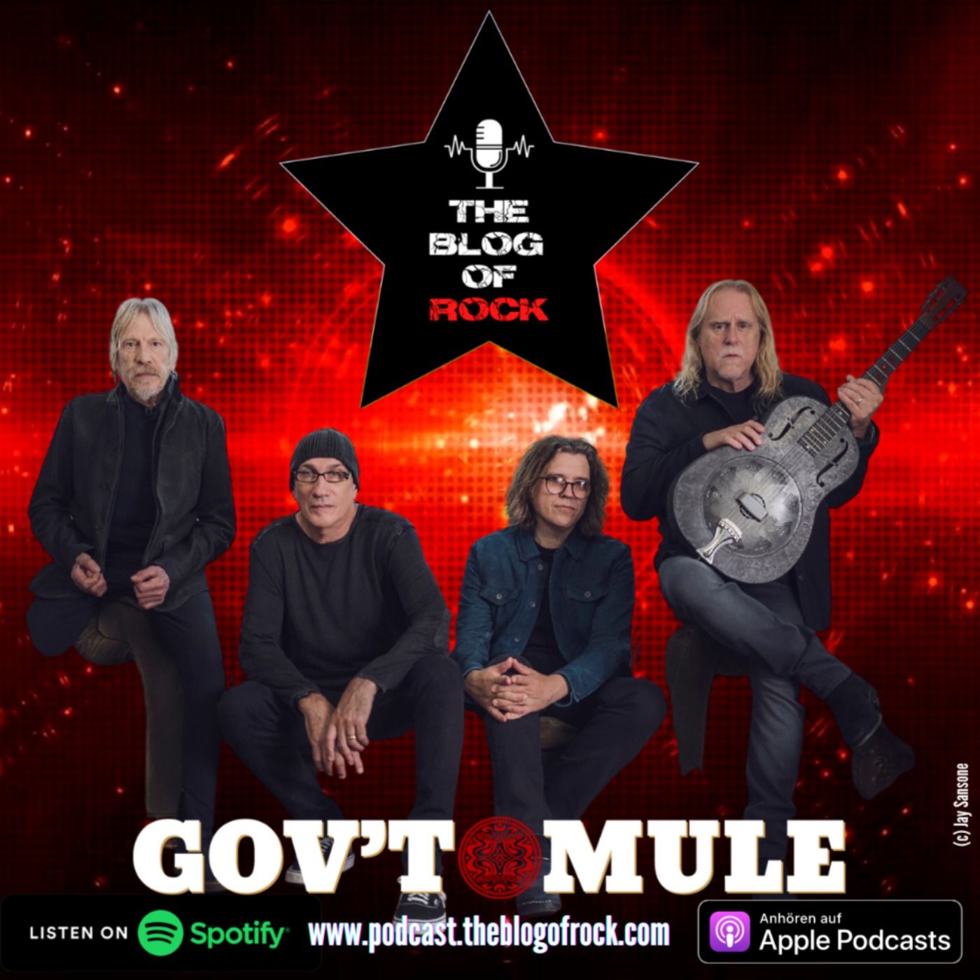 WARREN HAYNES (GOV'T MULE)