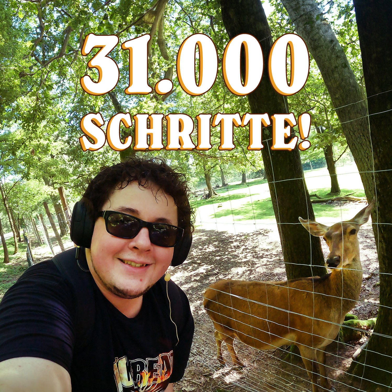 Warum bin ich denn jetzt im Saarland? | Schritt für Schritt: 31K