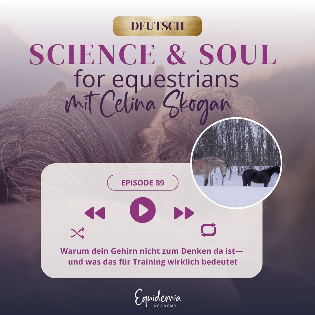 Warum dein Gehirn nicht zum Denken da ist — und was das fürs Training wirklich bedeutet