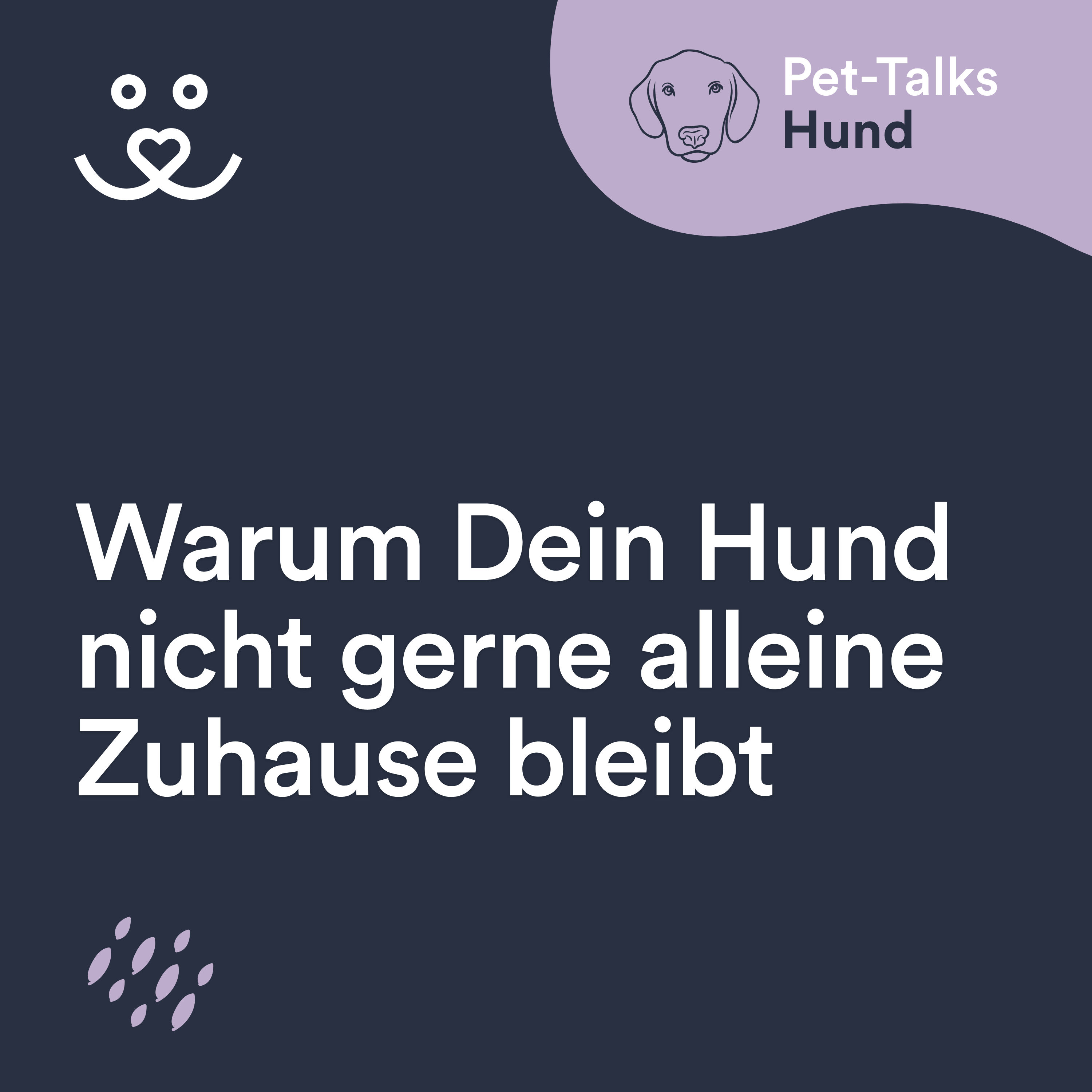 Warum Dein Hund nicht gerne alleine Zuhause bleibt