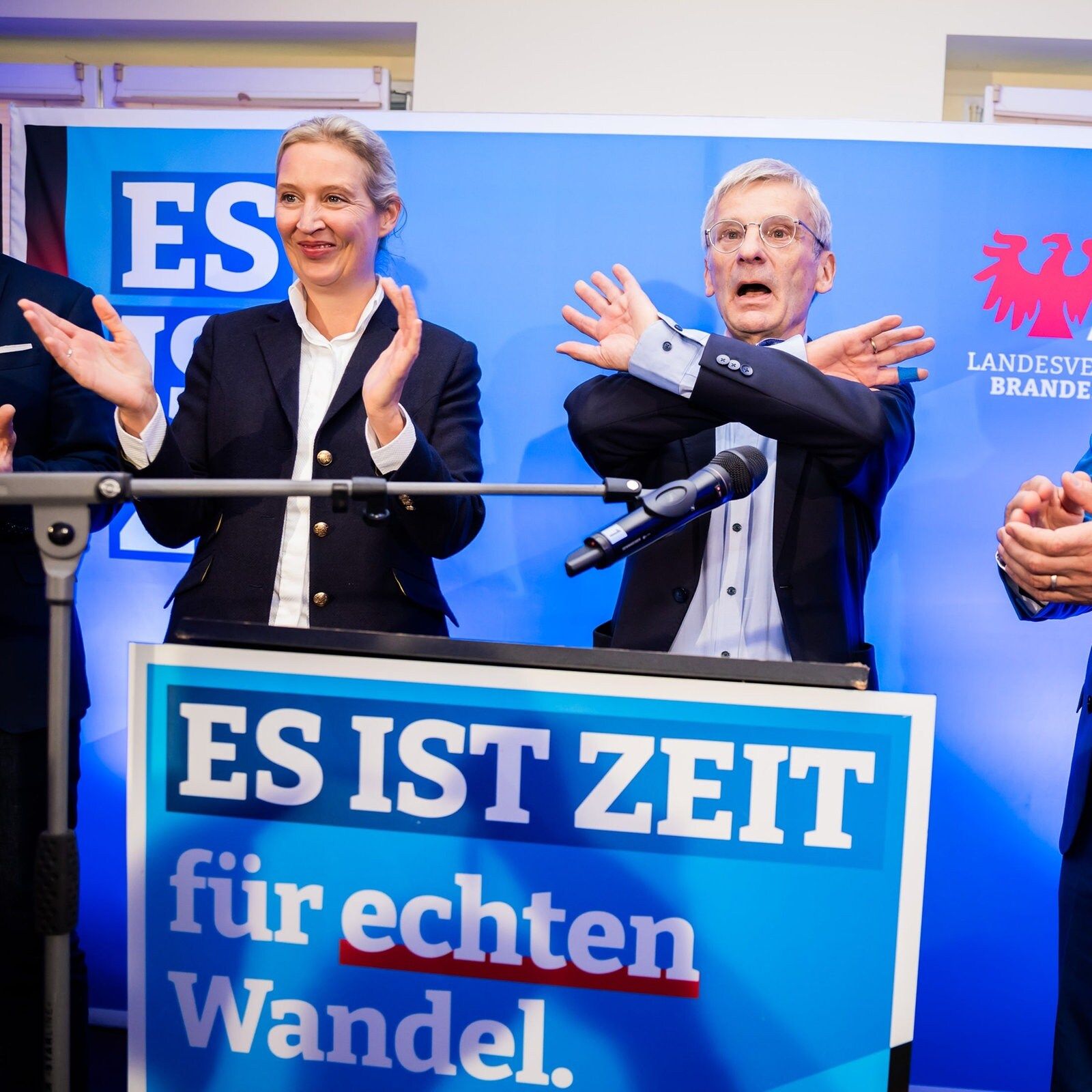 Warum die AfD bei OB-Wahlen schwächelt