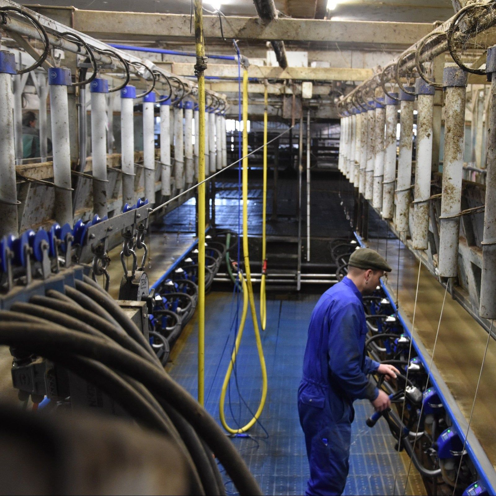 Warum die Landwirt-Ausbildung neu gedacht wird