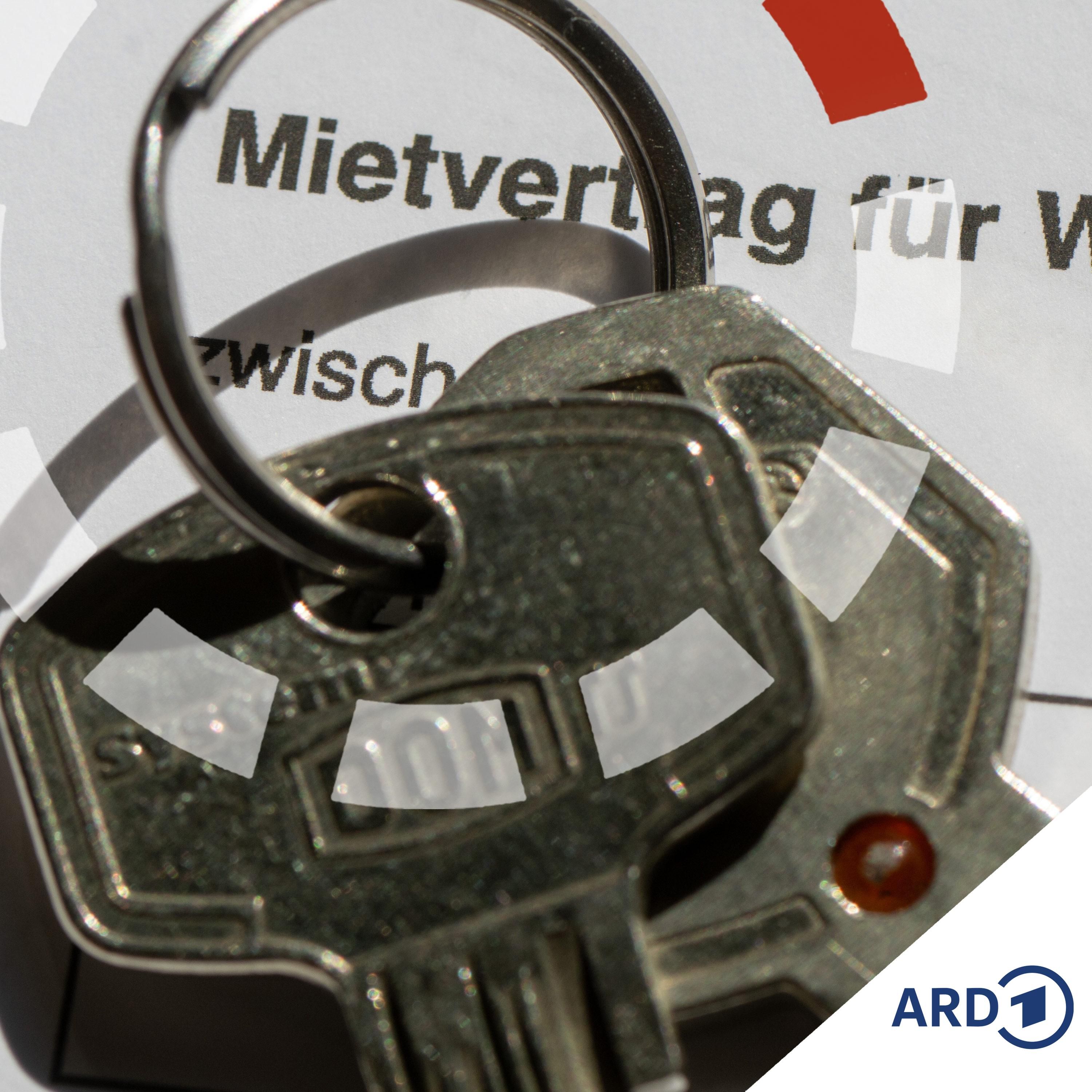 Warum es so schwer ist, ne Mietwohnung zu finden