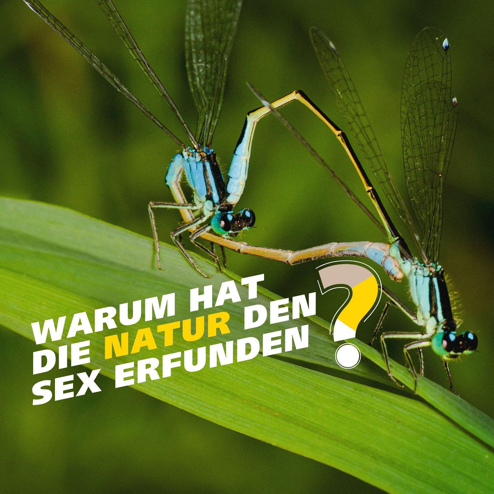 Warum hat die Natur den Sex erfunden?