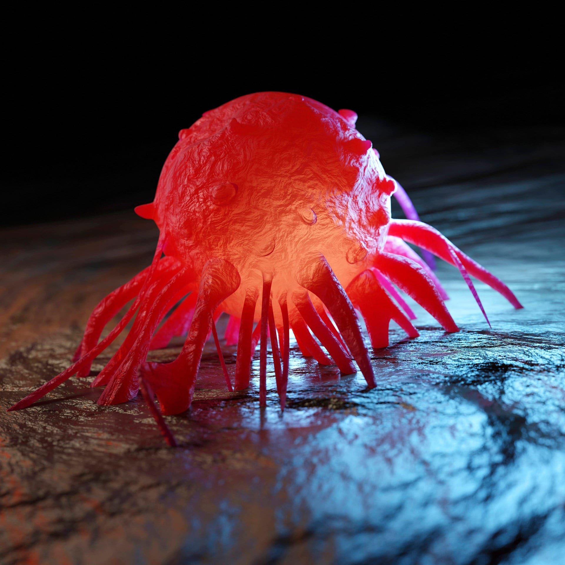 Warum heißt die Krankheit Krebs "Krebs"?