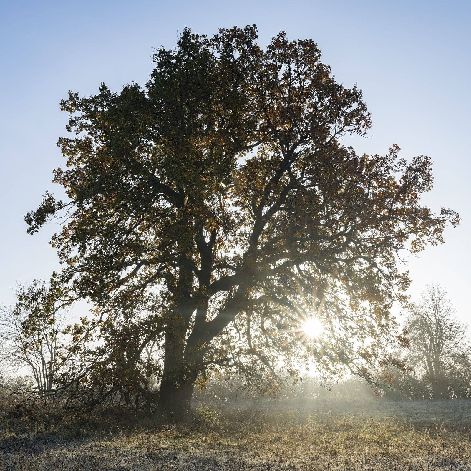 Warum heißt es "zwischen den Jahren"?
