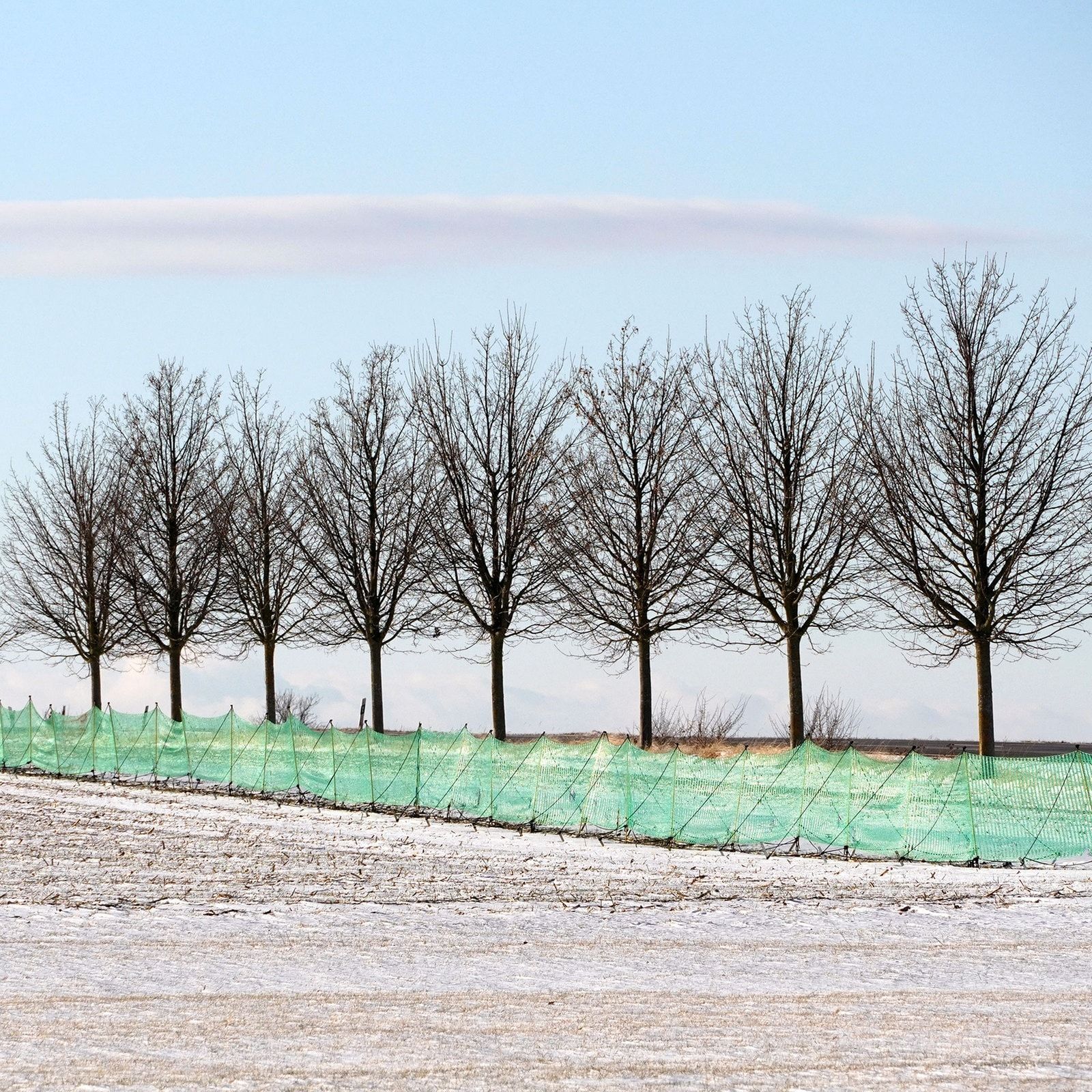Warum in diesem Winter kaum Schneefangzäune aufgebaut wurden