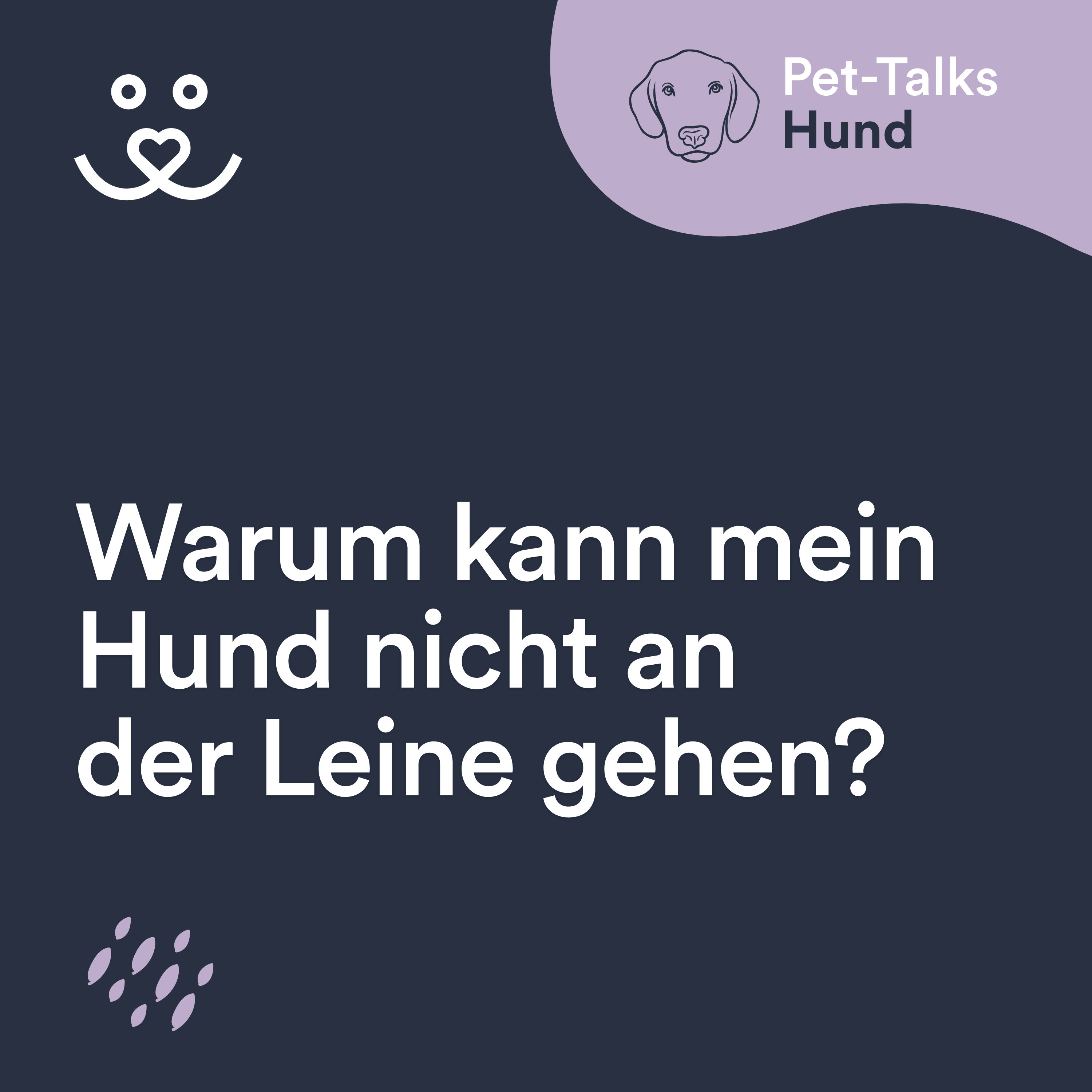 Warum kann mein Hund nicht an der Leine gehen?
