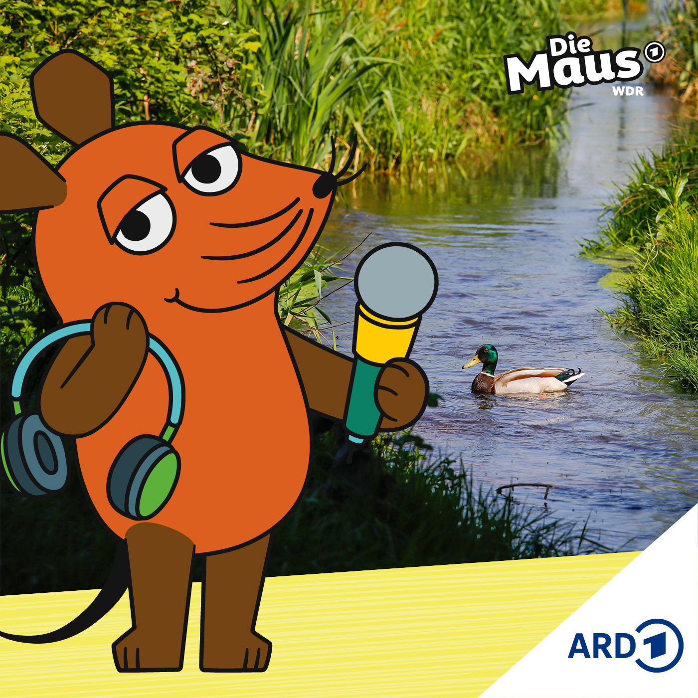 Warum mehr Wasser im Boden wichtig ist