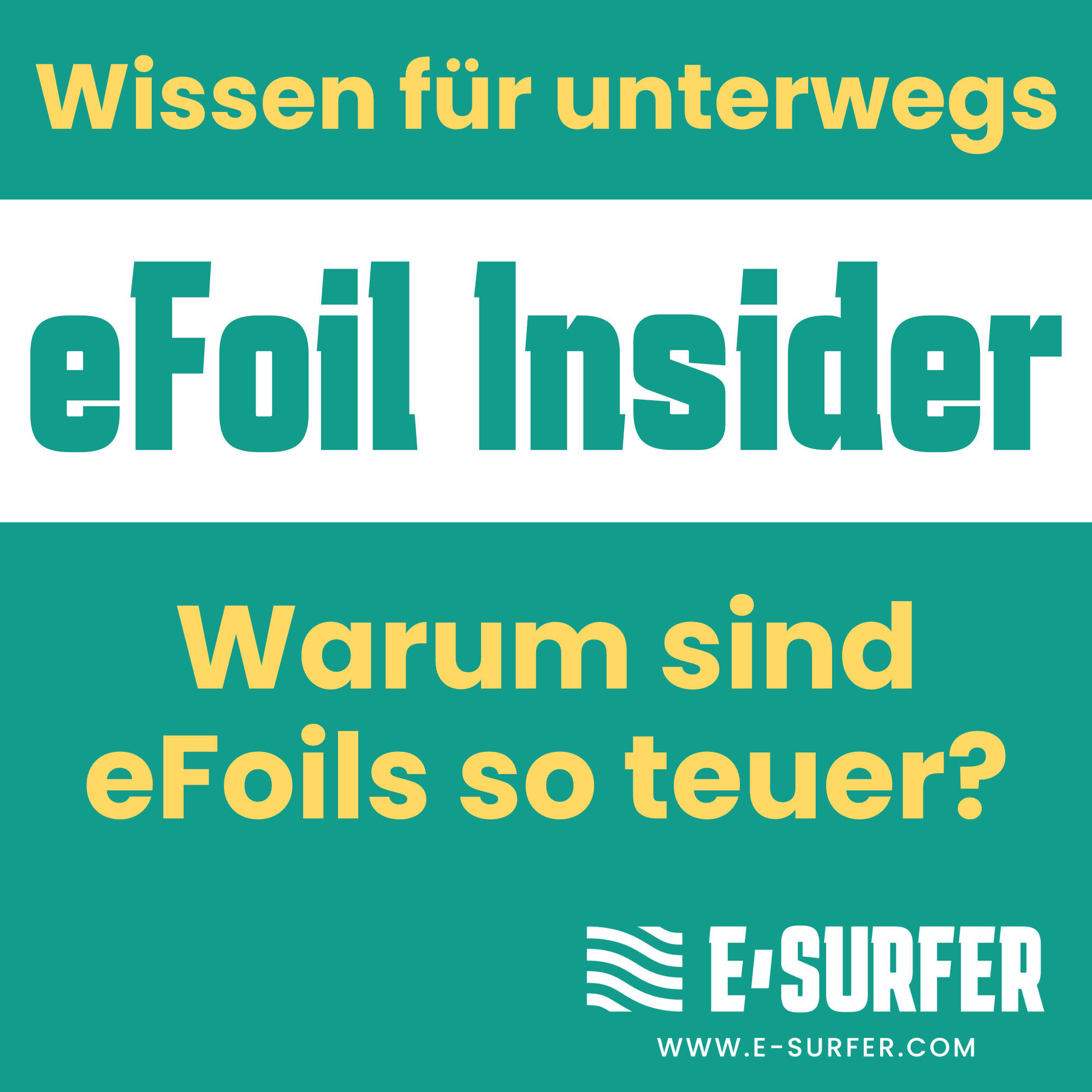 Warum sind eFoils so teuer?